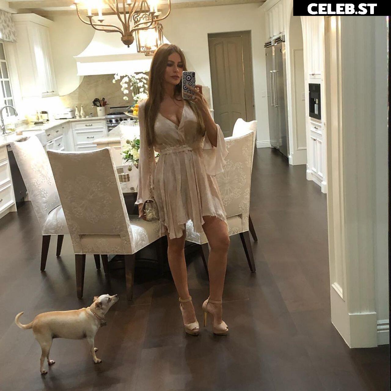 Sofia Vergara Image 1832532