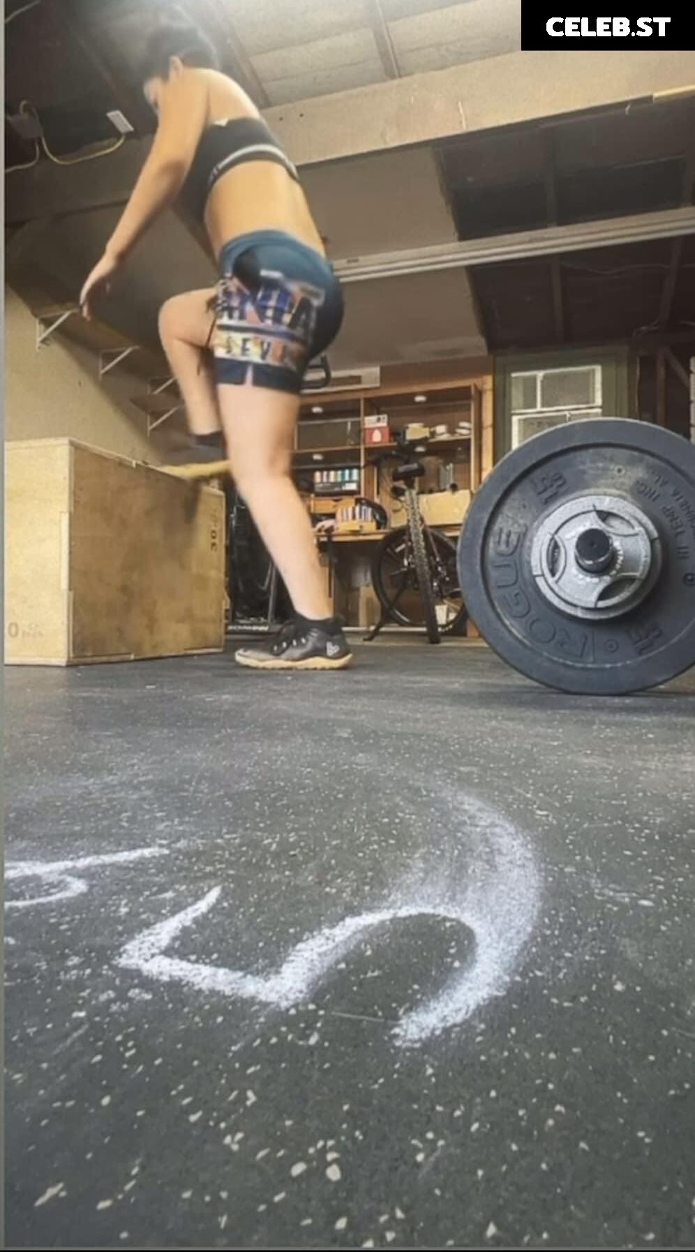 Bayley Image 1833890