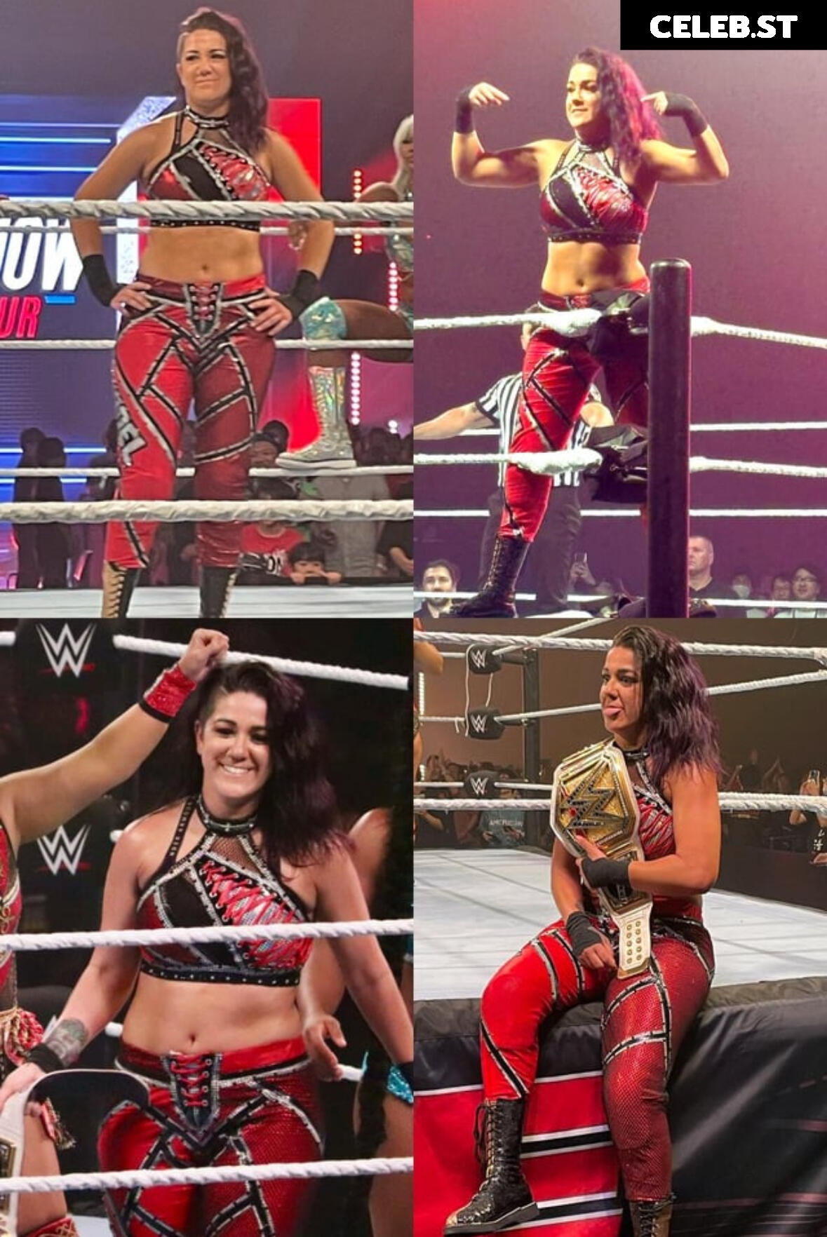 Bayley Image 1833399