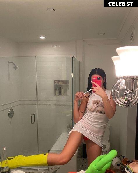 Dua Lipa Image 1825205
