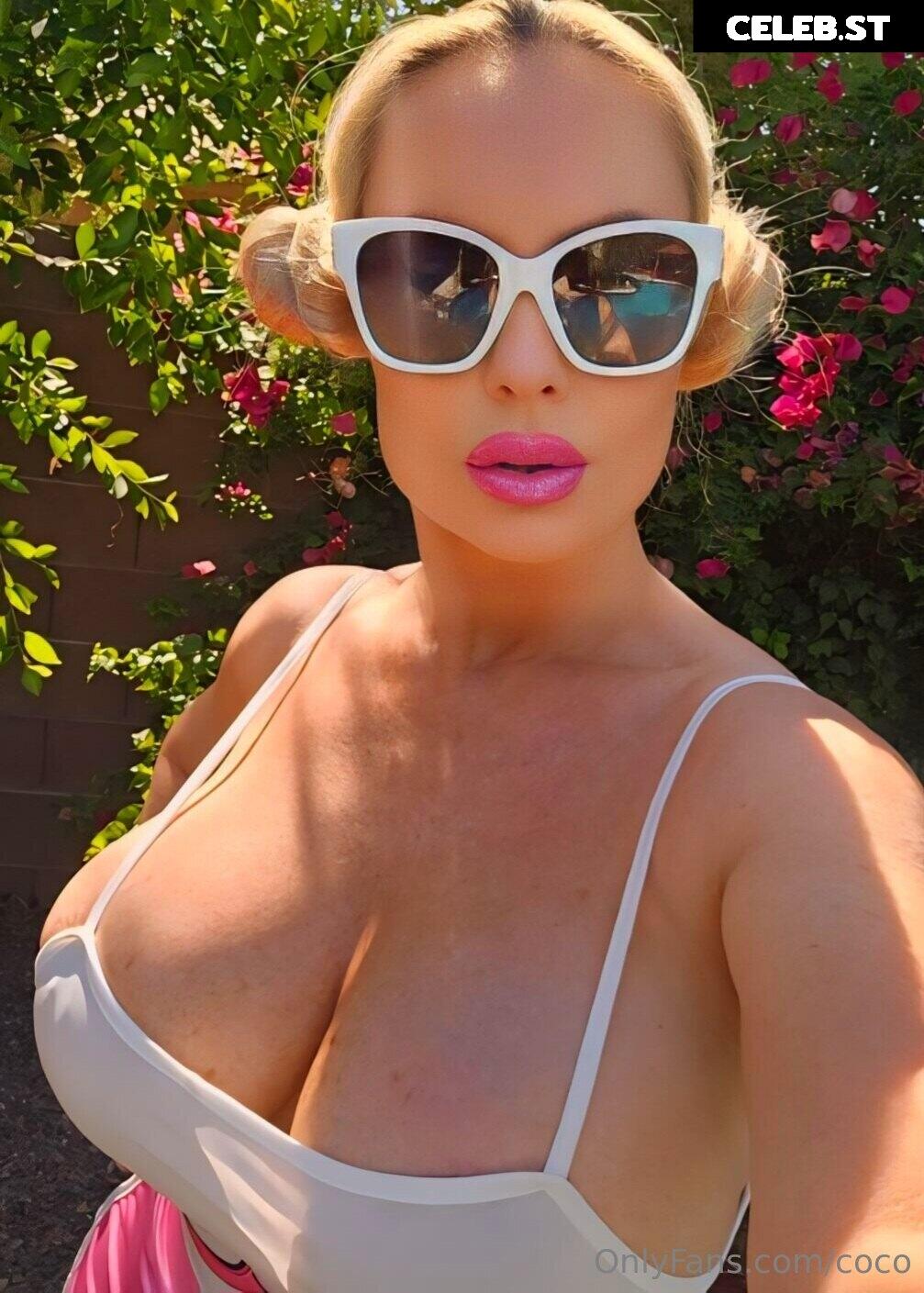 Nicole Coco Austin Image 1826926