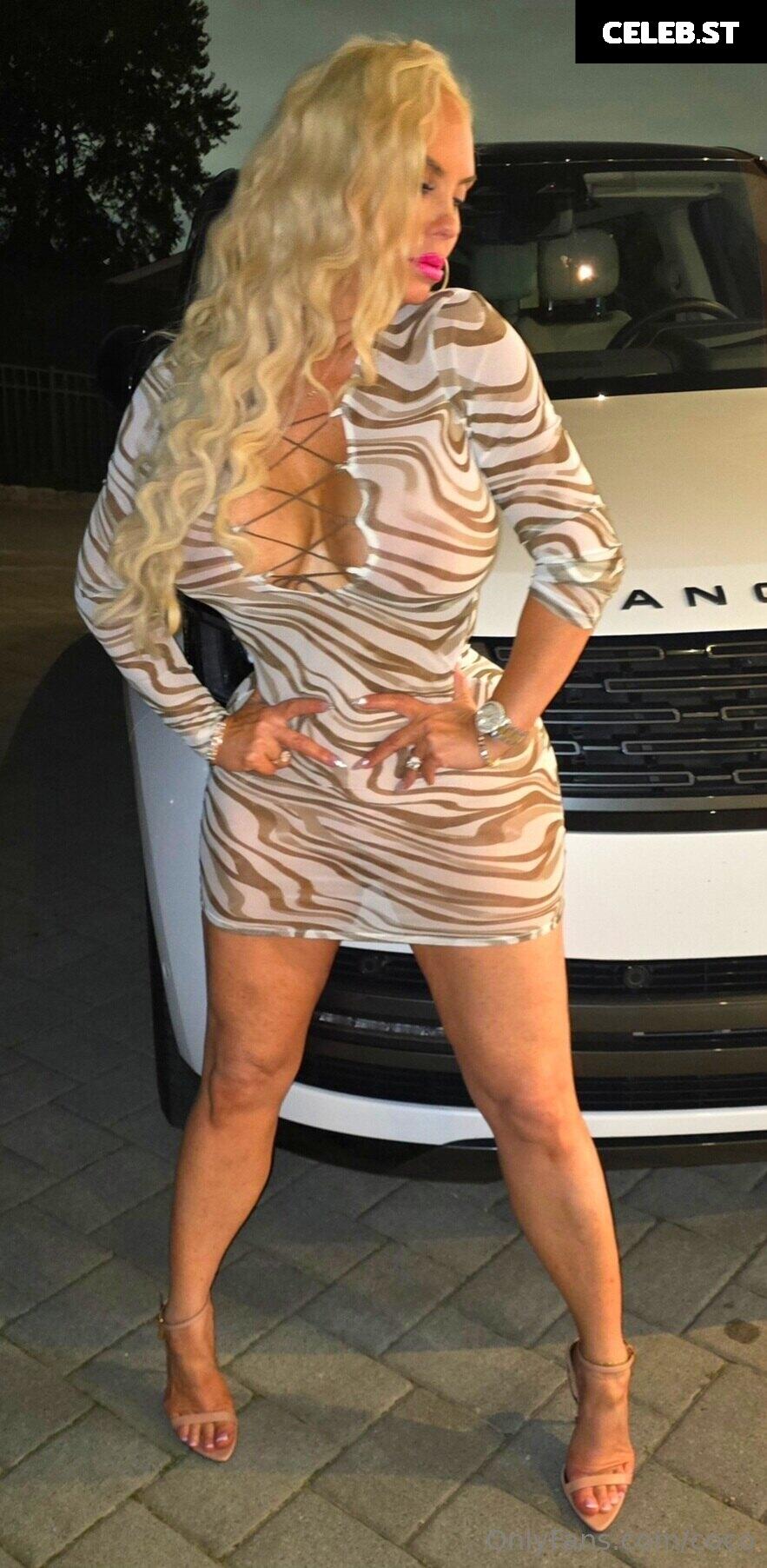 Nicole Coco Austin Image 1827773