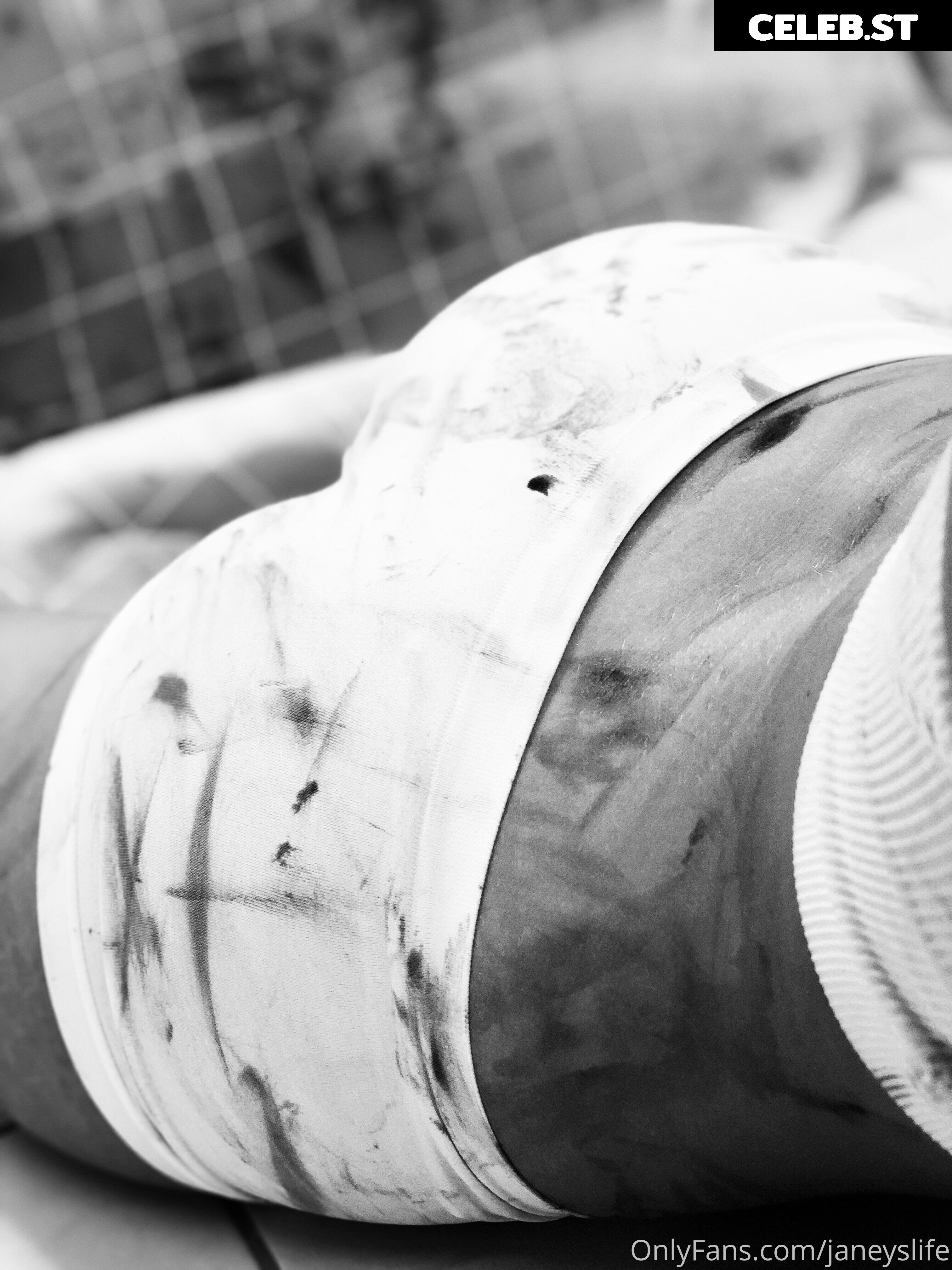 Janeyslife Image 182446