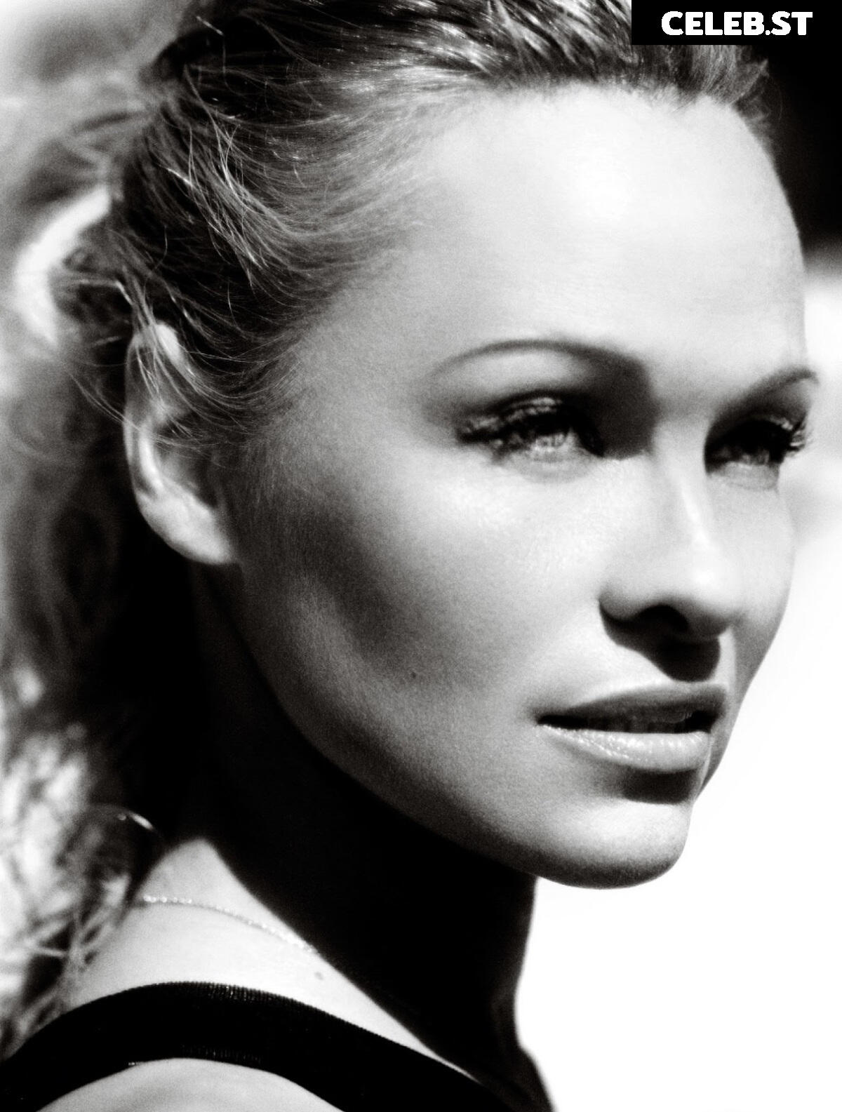 Pamela Anderson Image 1821106