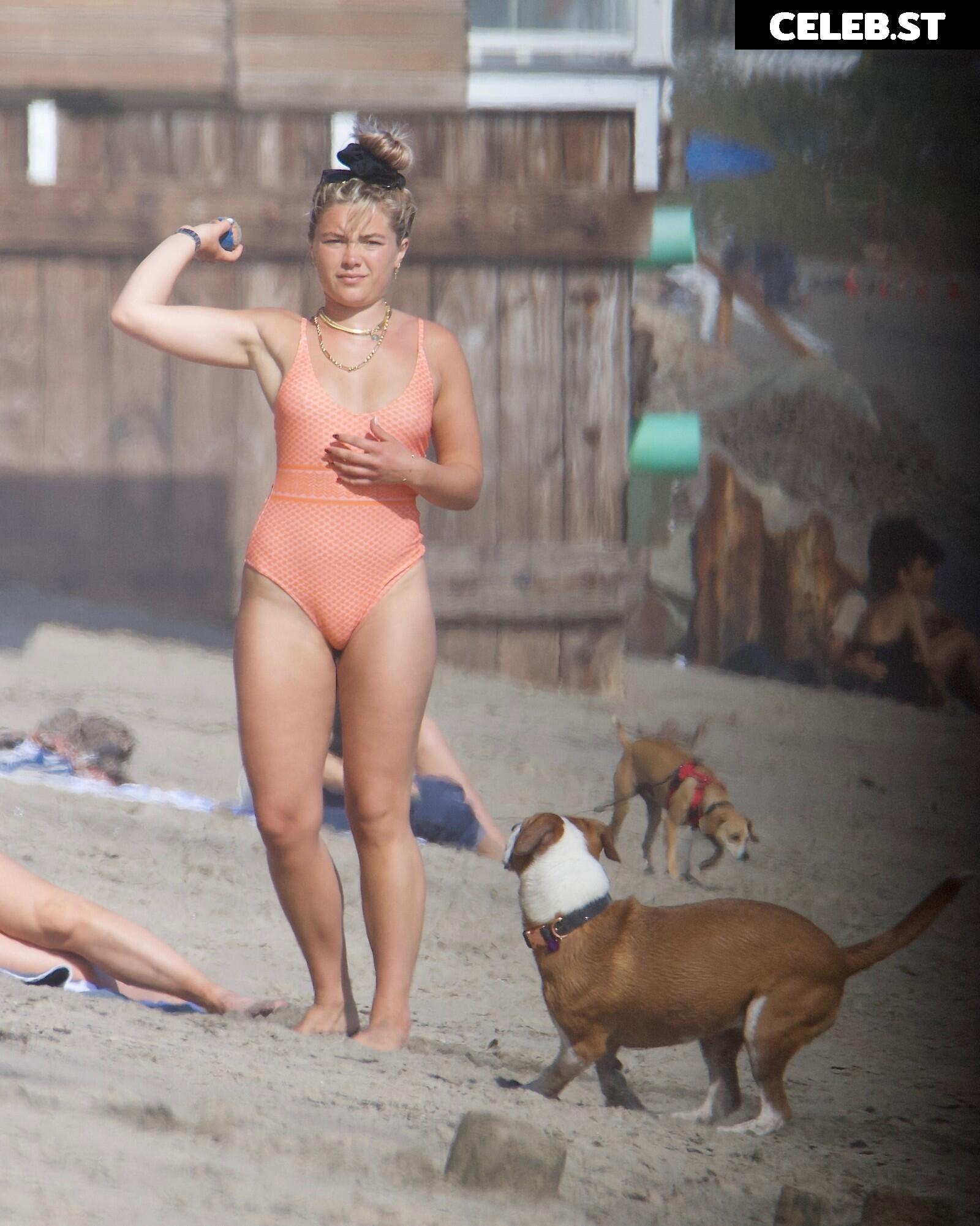 Florence Pugh Image 1822053