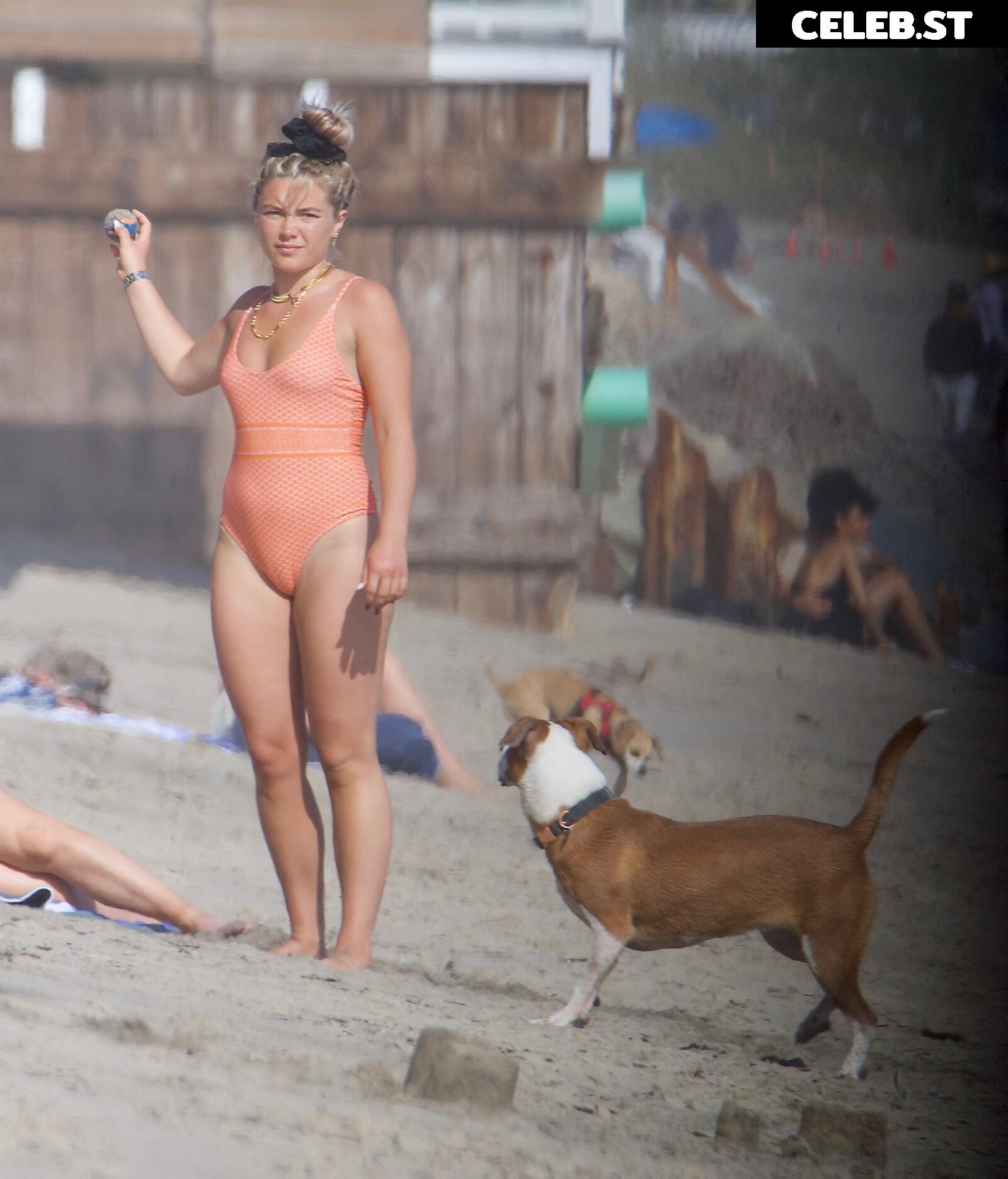 Florence Pugh Image 1822370