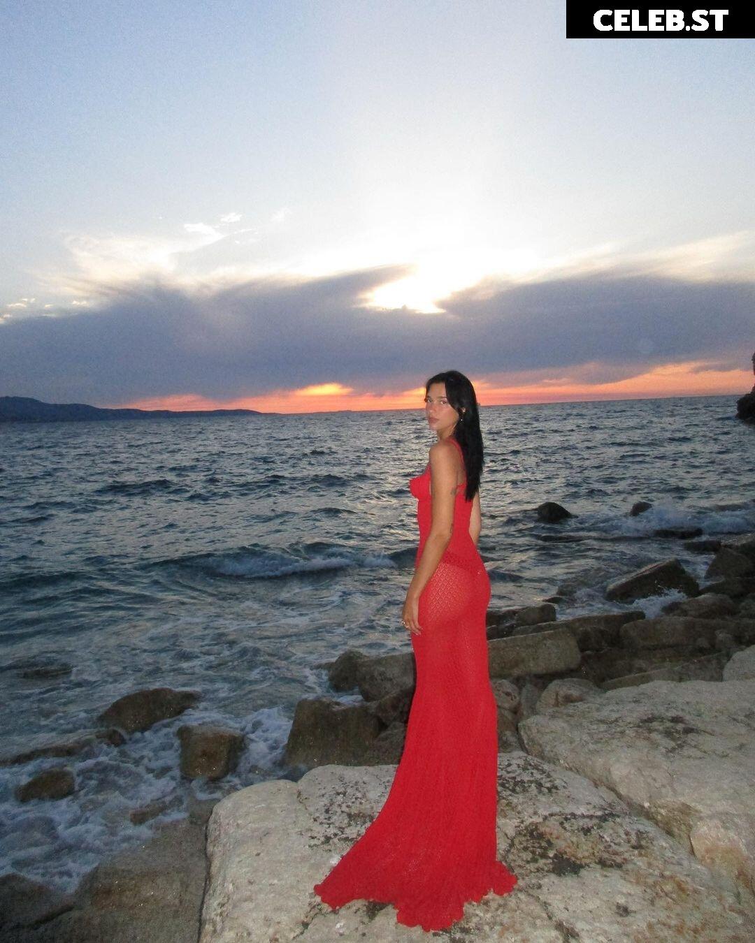 Dua Lipa Image 1822977