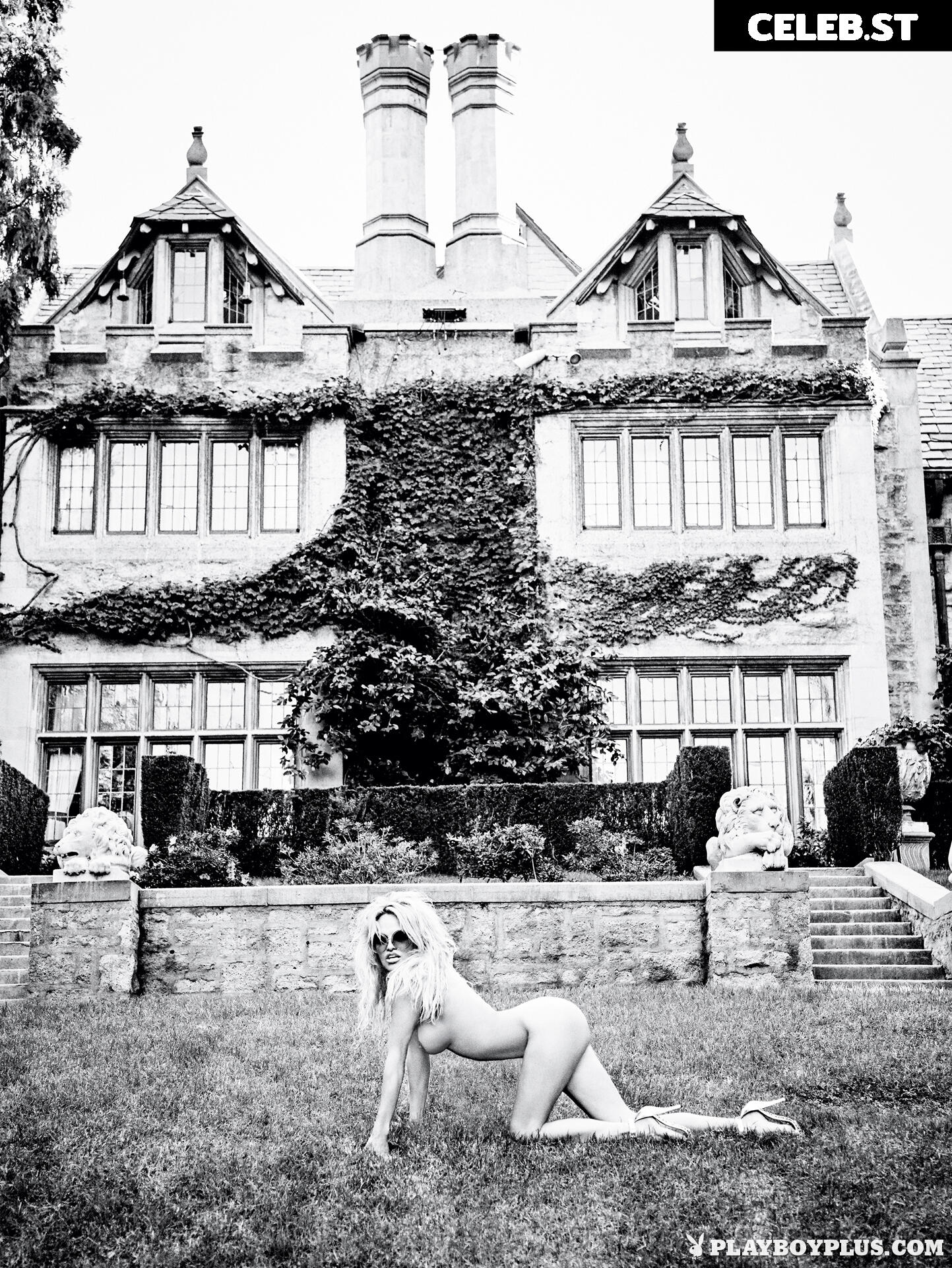 Pamela Anderson Image 1823389