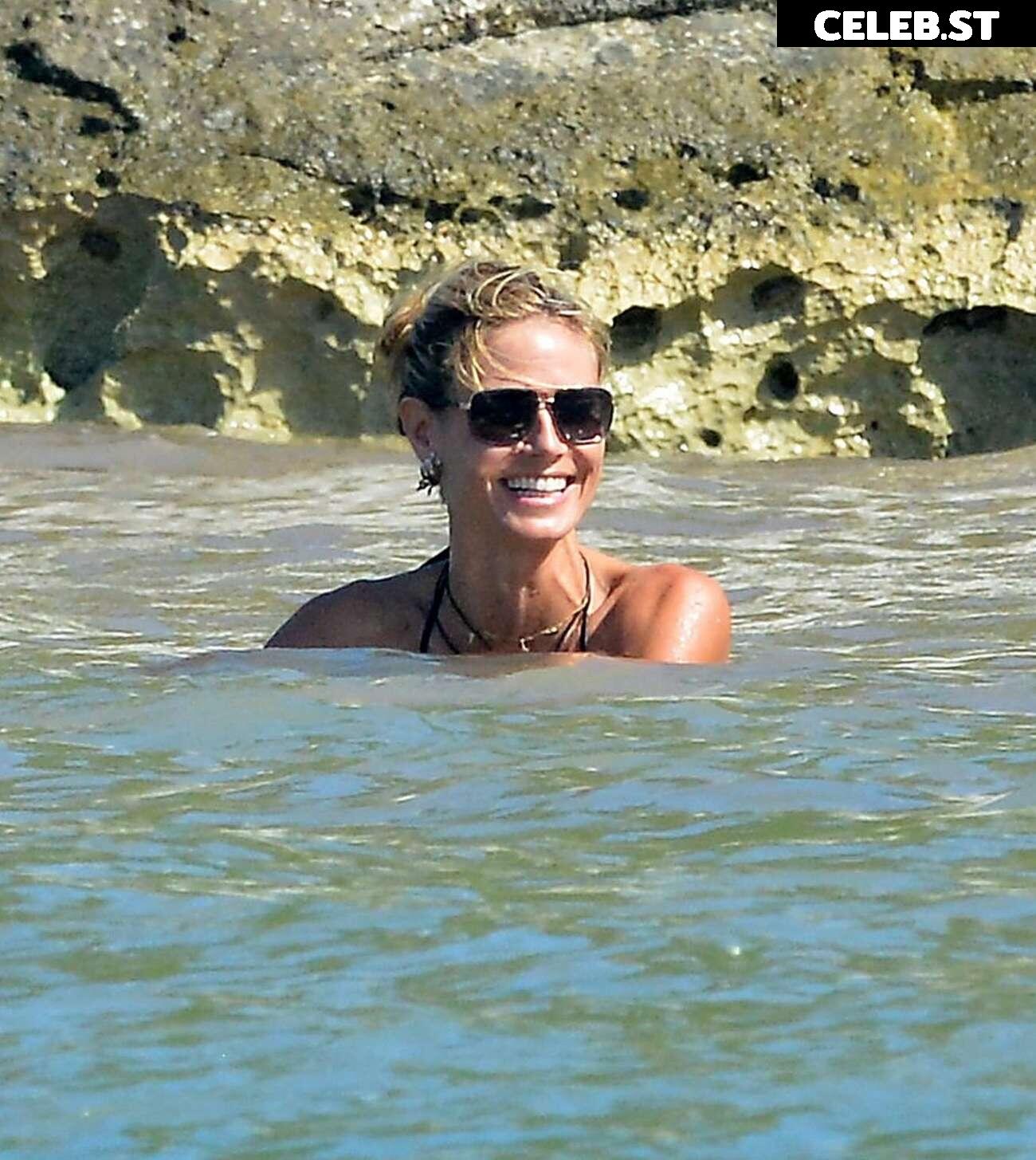 Heidi Klum Image 1820639