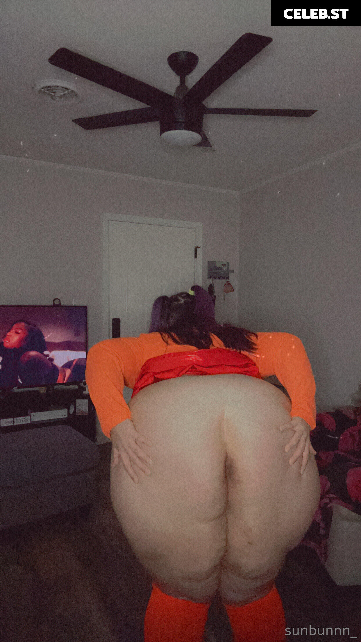 pawgwithablog97 Image 18288561