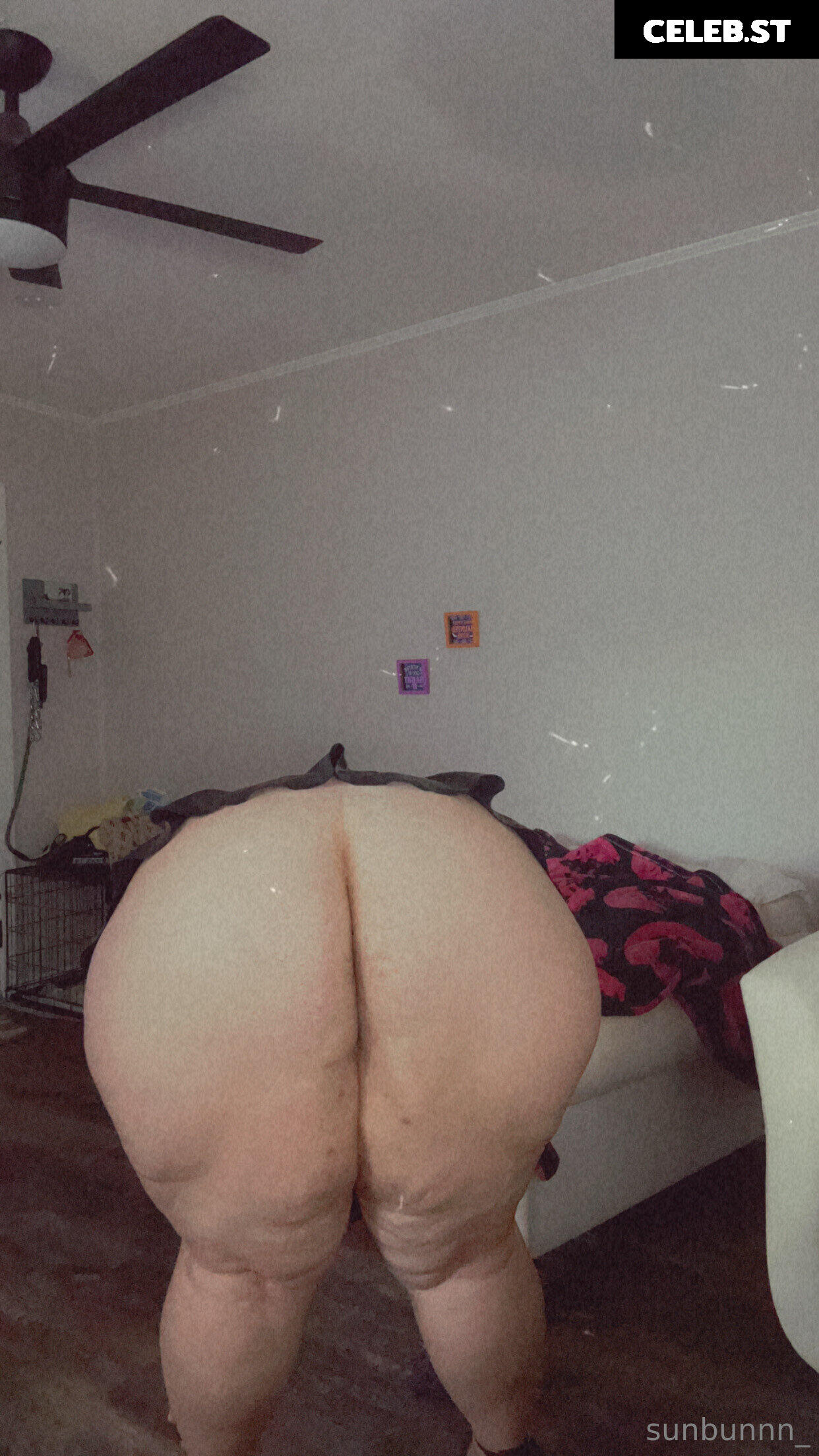 pawgwithablog97 Image 18288601