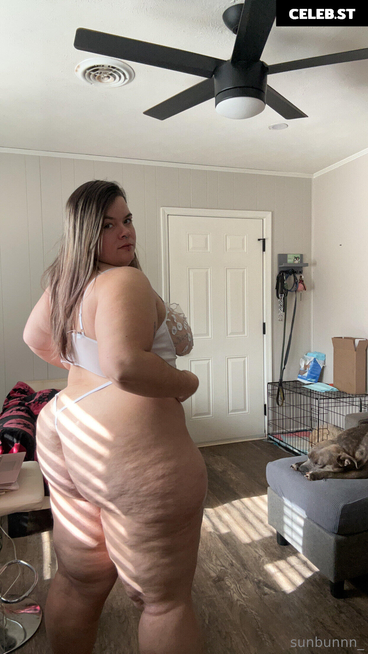 pawgwithablog97 Image 18285593