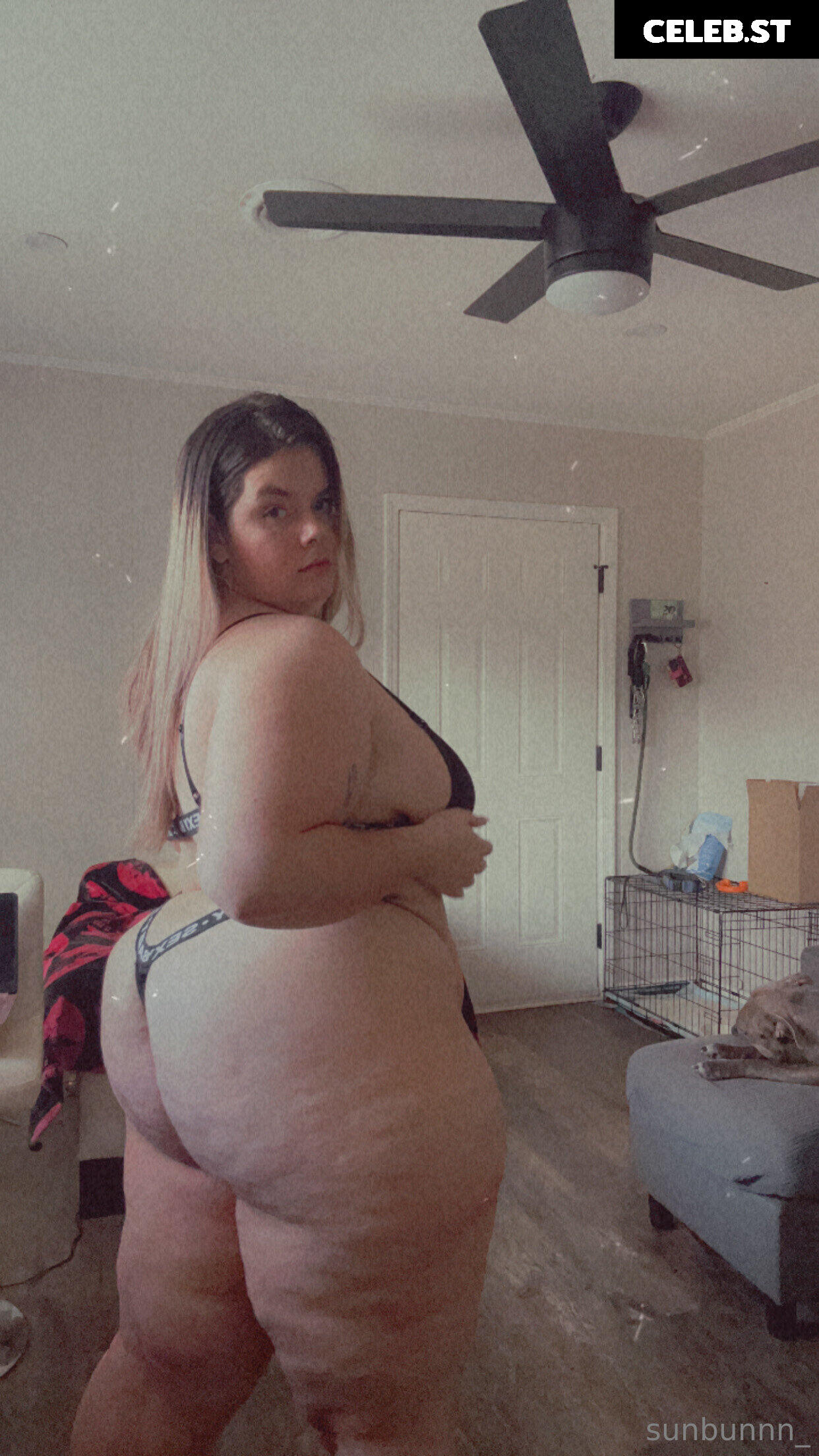 pawgwithablog97 Image 18284400