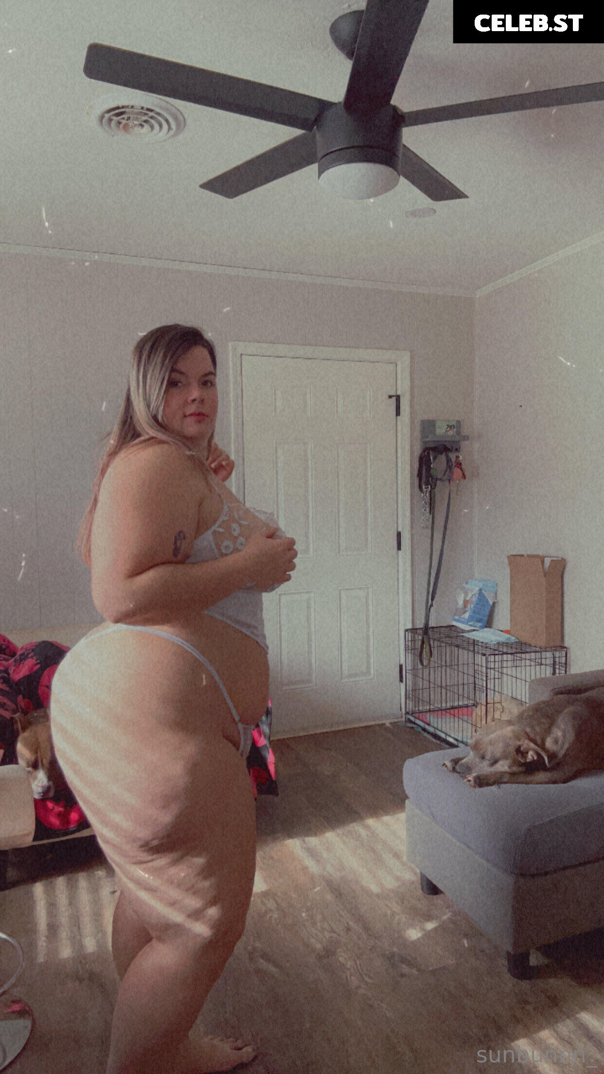 pawgwithablog97 Image 18283873