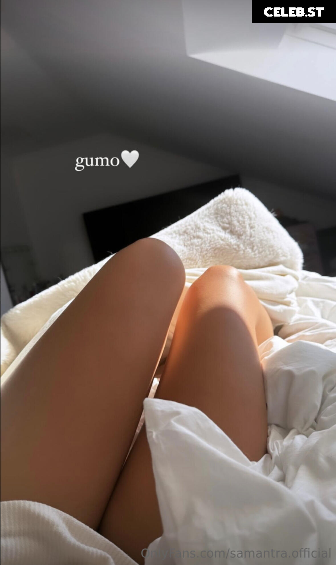 Samantra Image 1814200