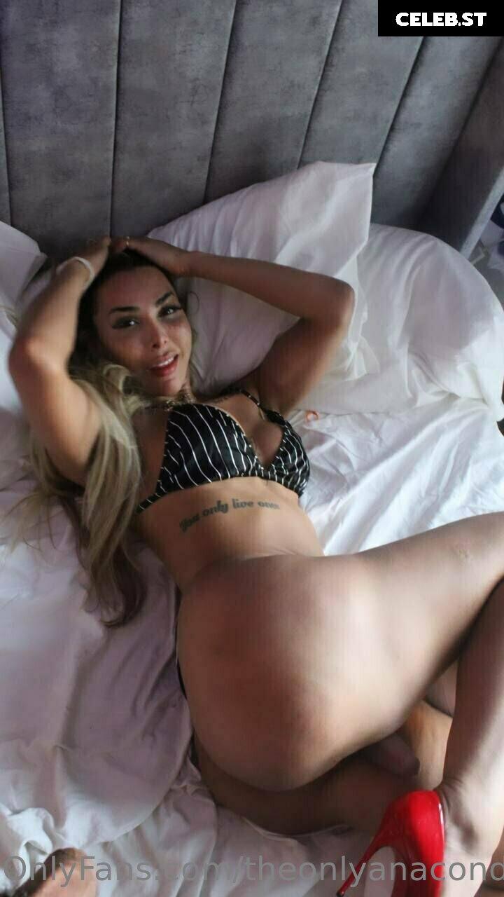 theonlyanaconda Image 18123374