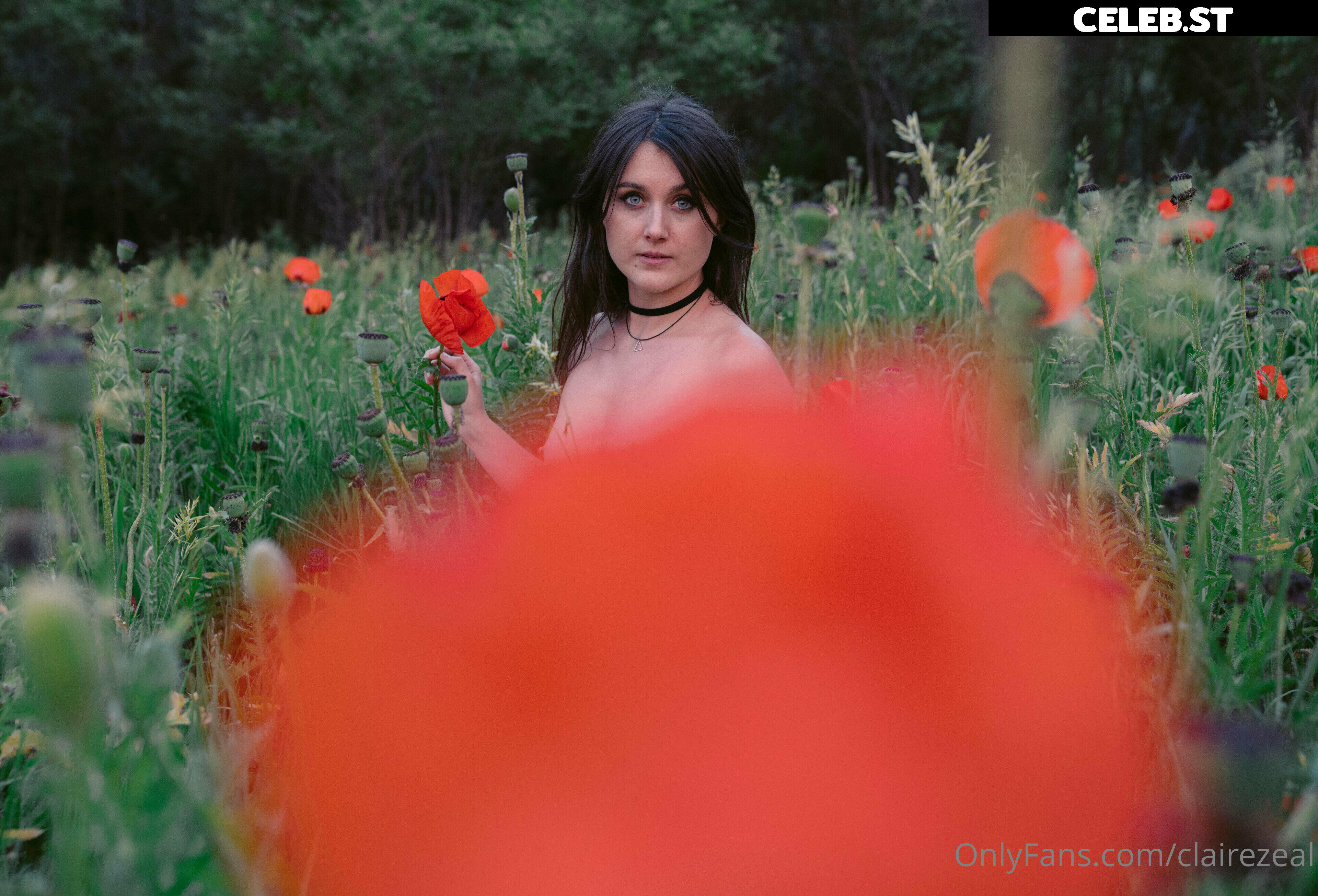 Claire Zeal Image 1810583