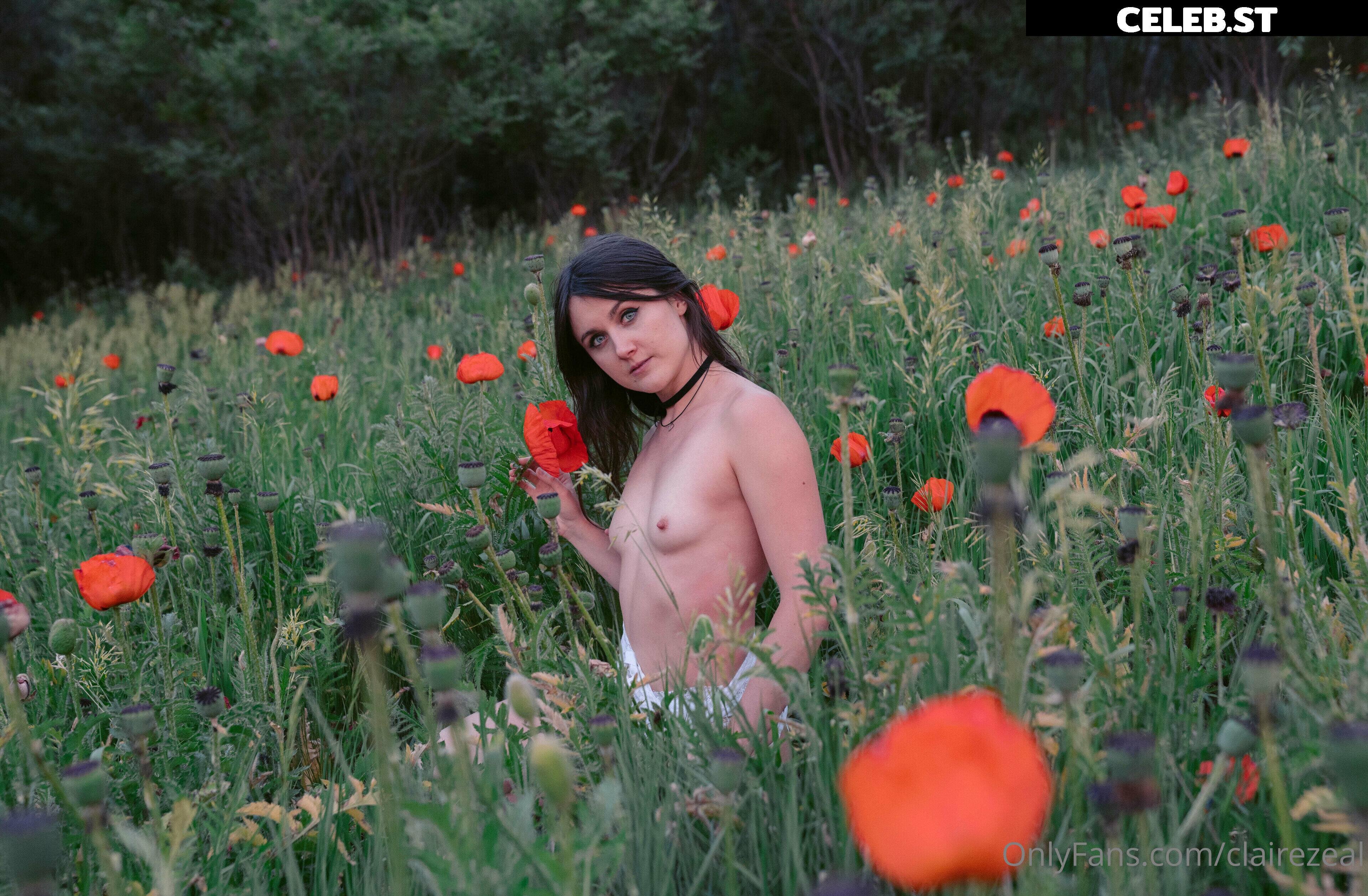 Claire Zeal Image 1810613