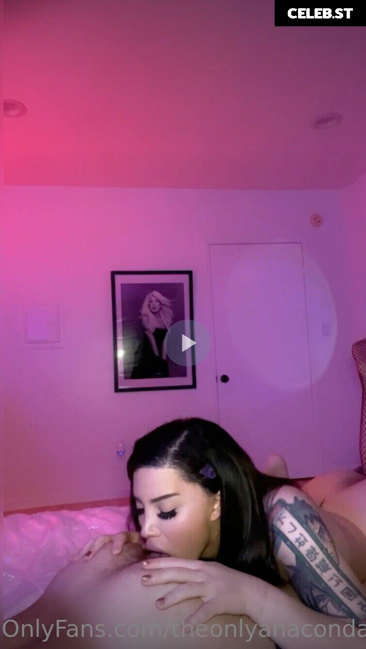 theonlyanaconda Image 18102241