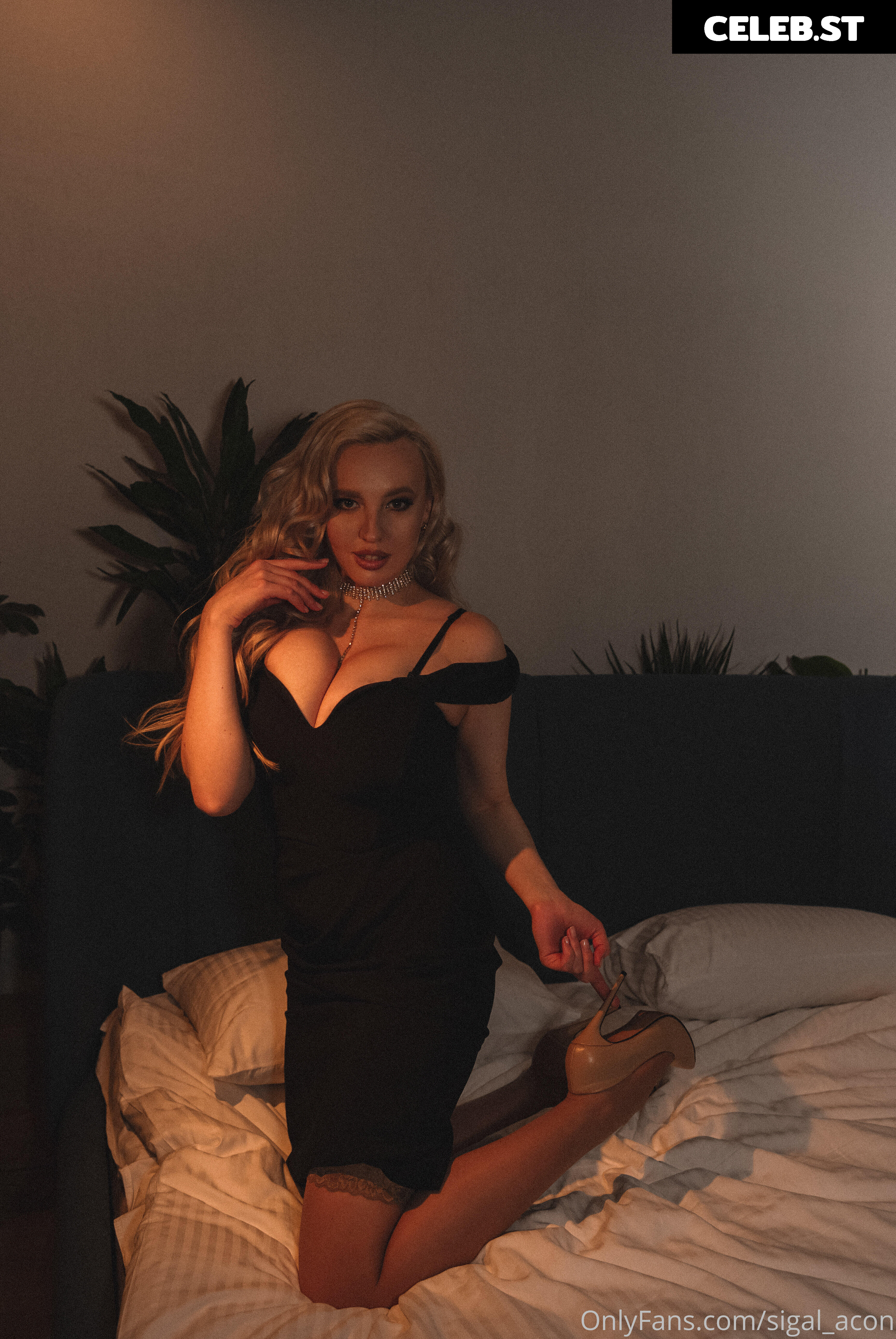 sigalblonde Image 18194279