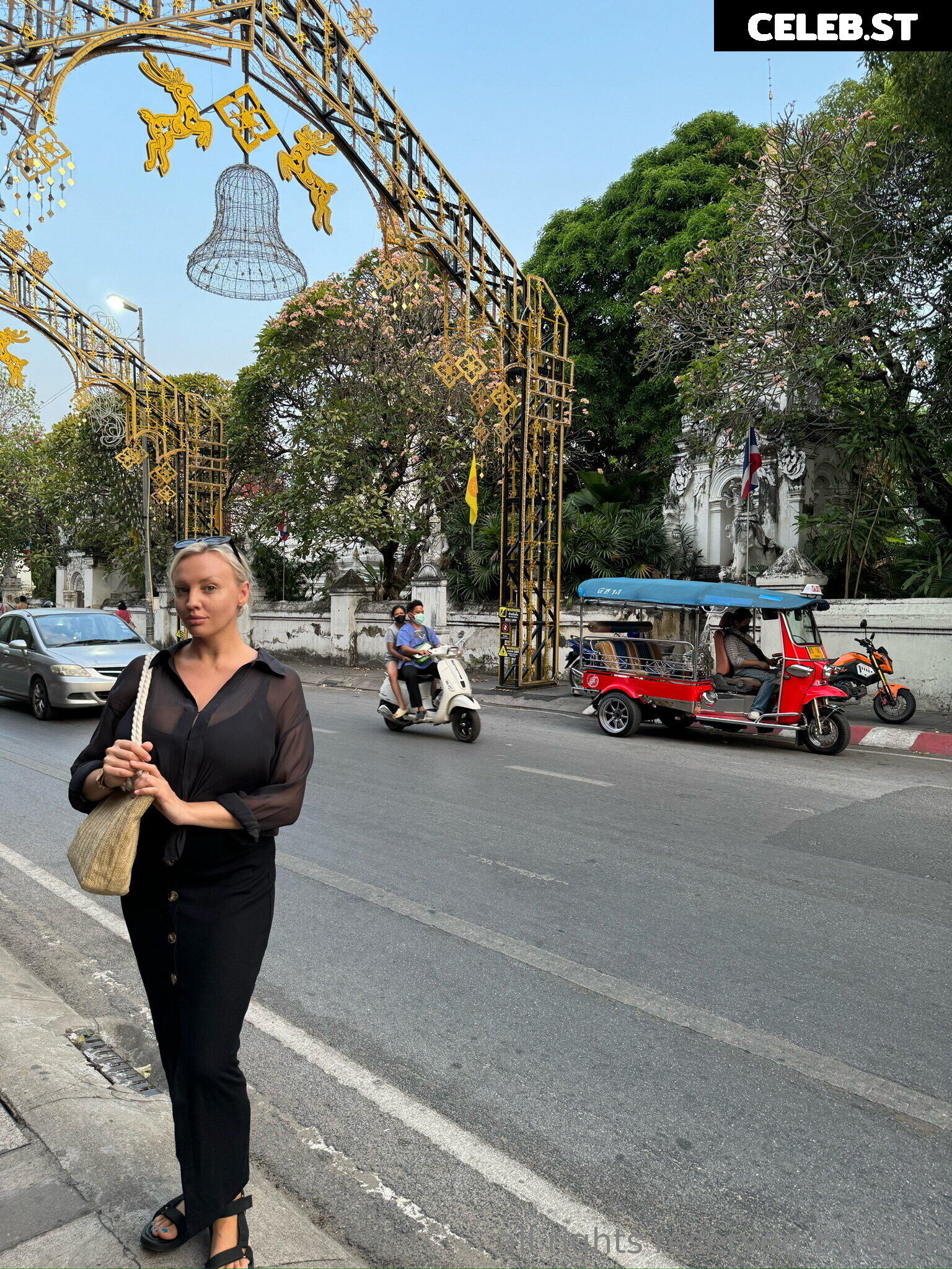 sigalblonde Image 18190924