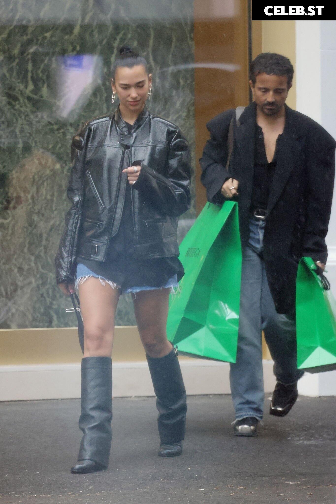 Dua Lipa Image 1819295