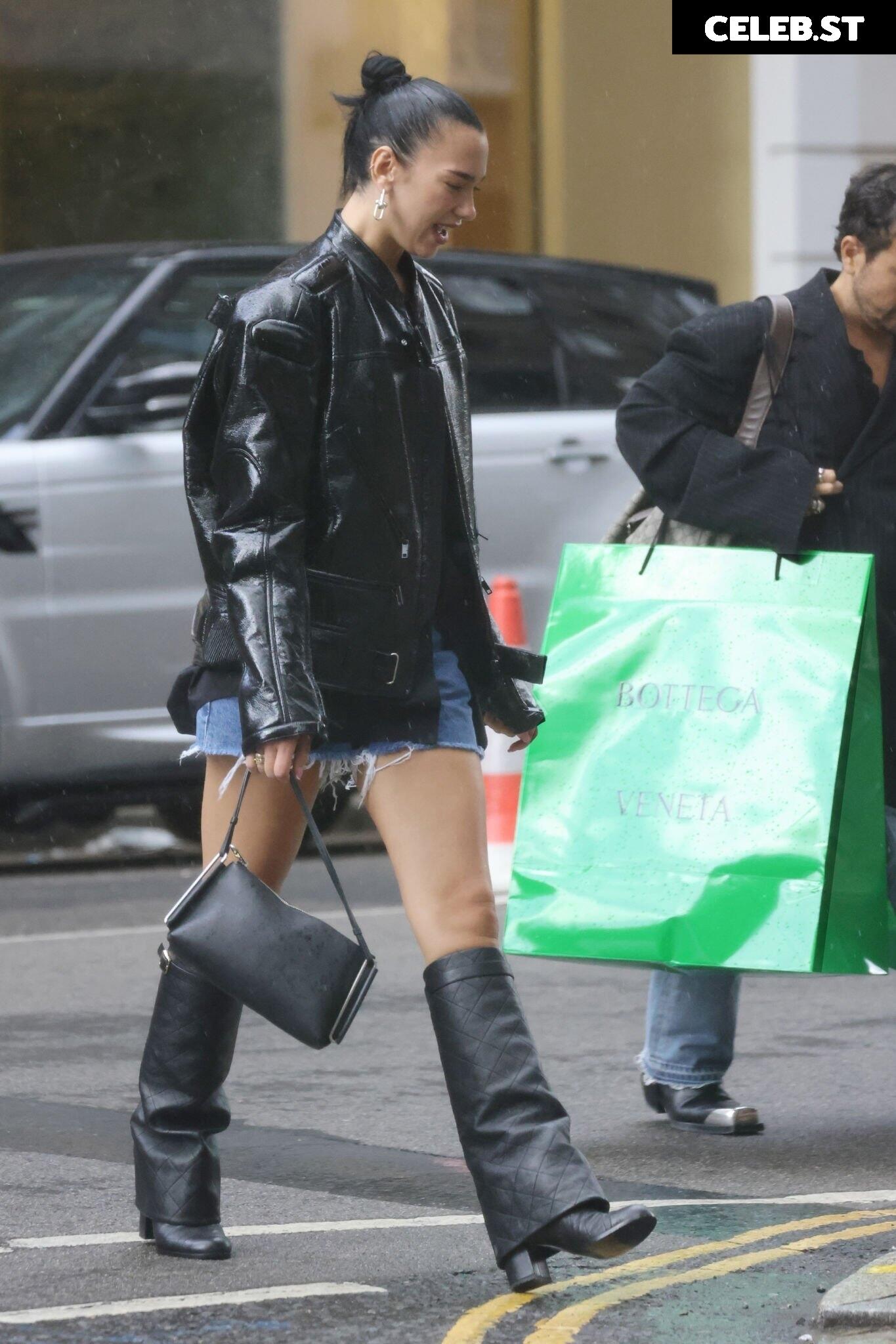 Dua Lipa Image 1819262