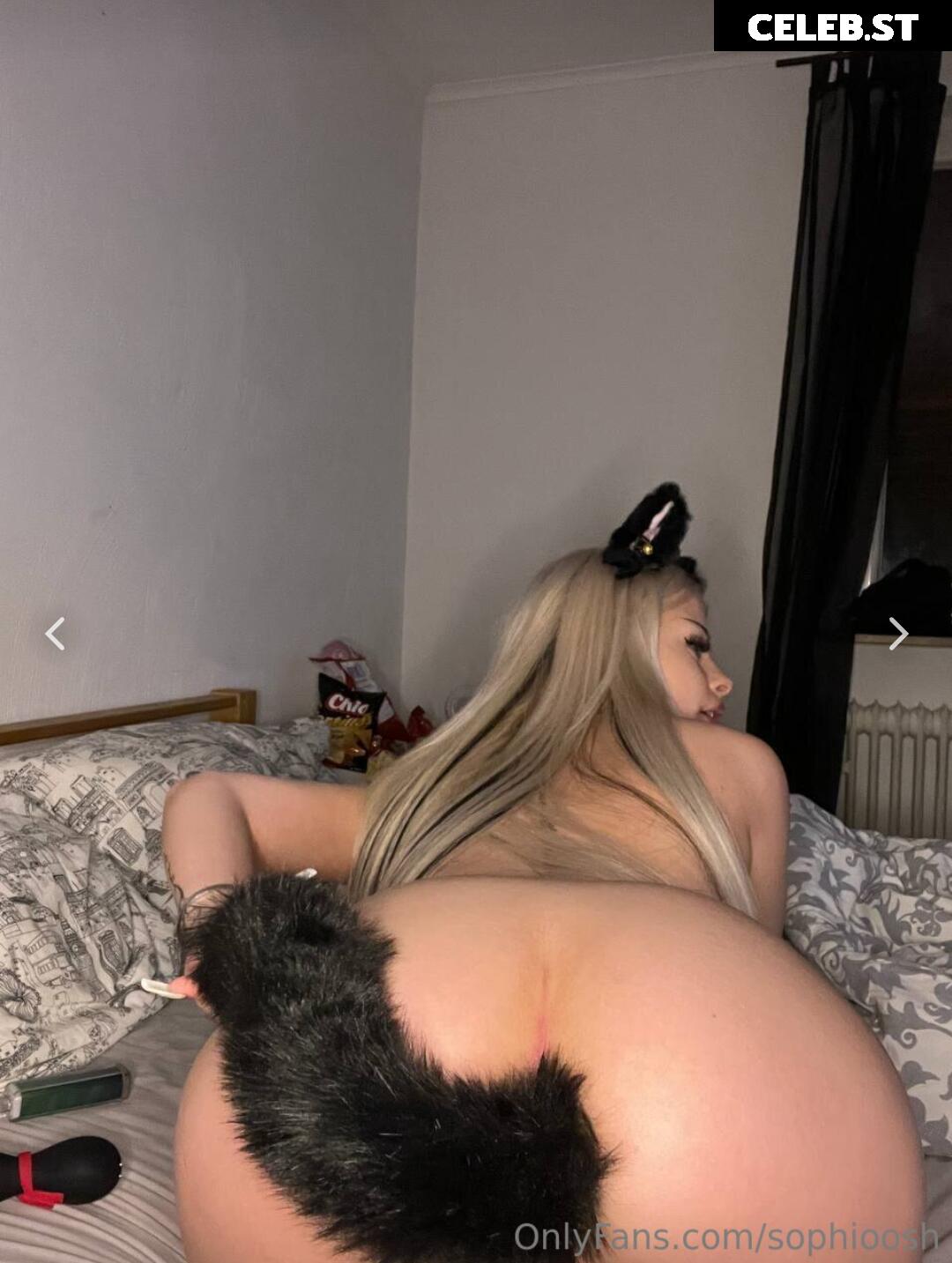 Sophioosh Image 1818413