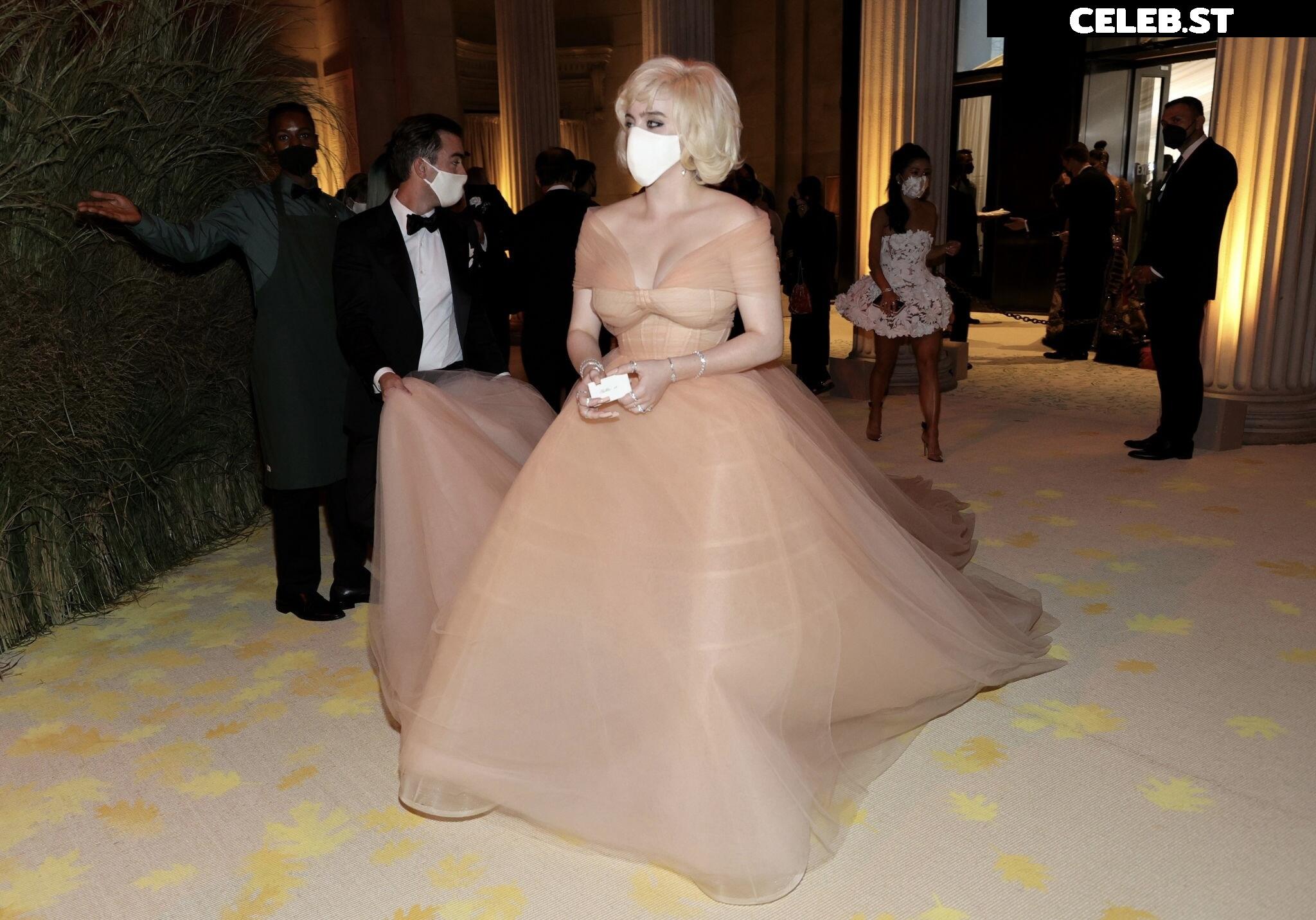 Billie Eilish Image 1818013