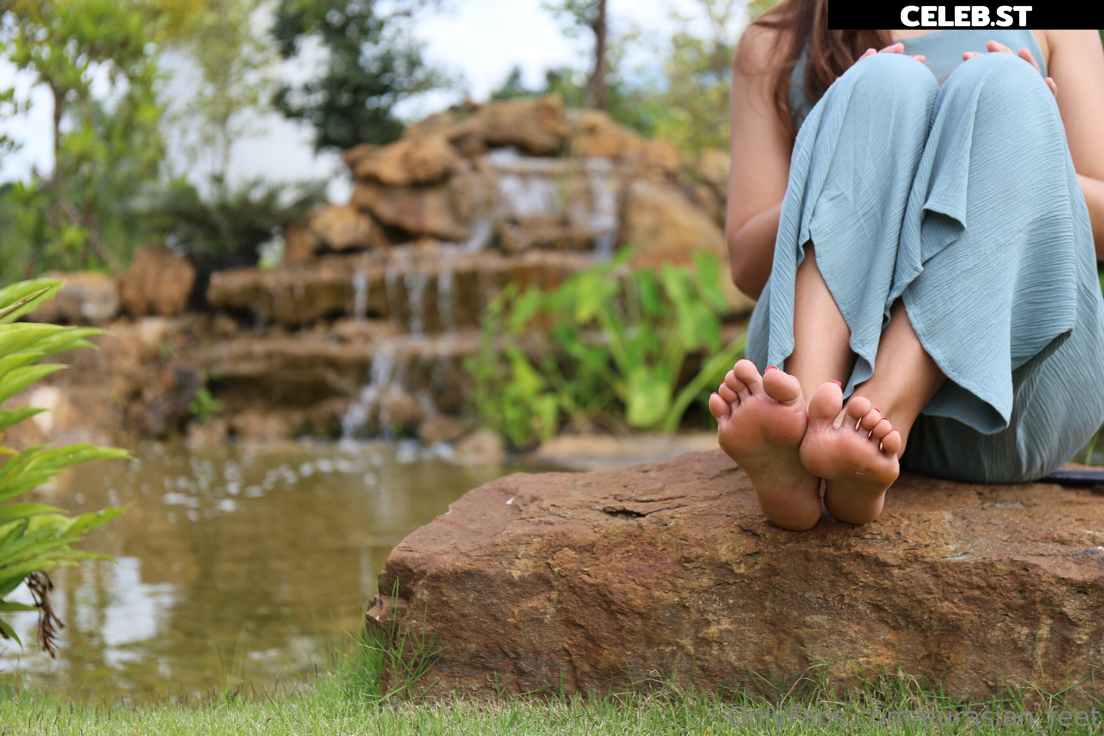 eurasian_feet Image 18058529