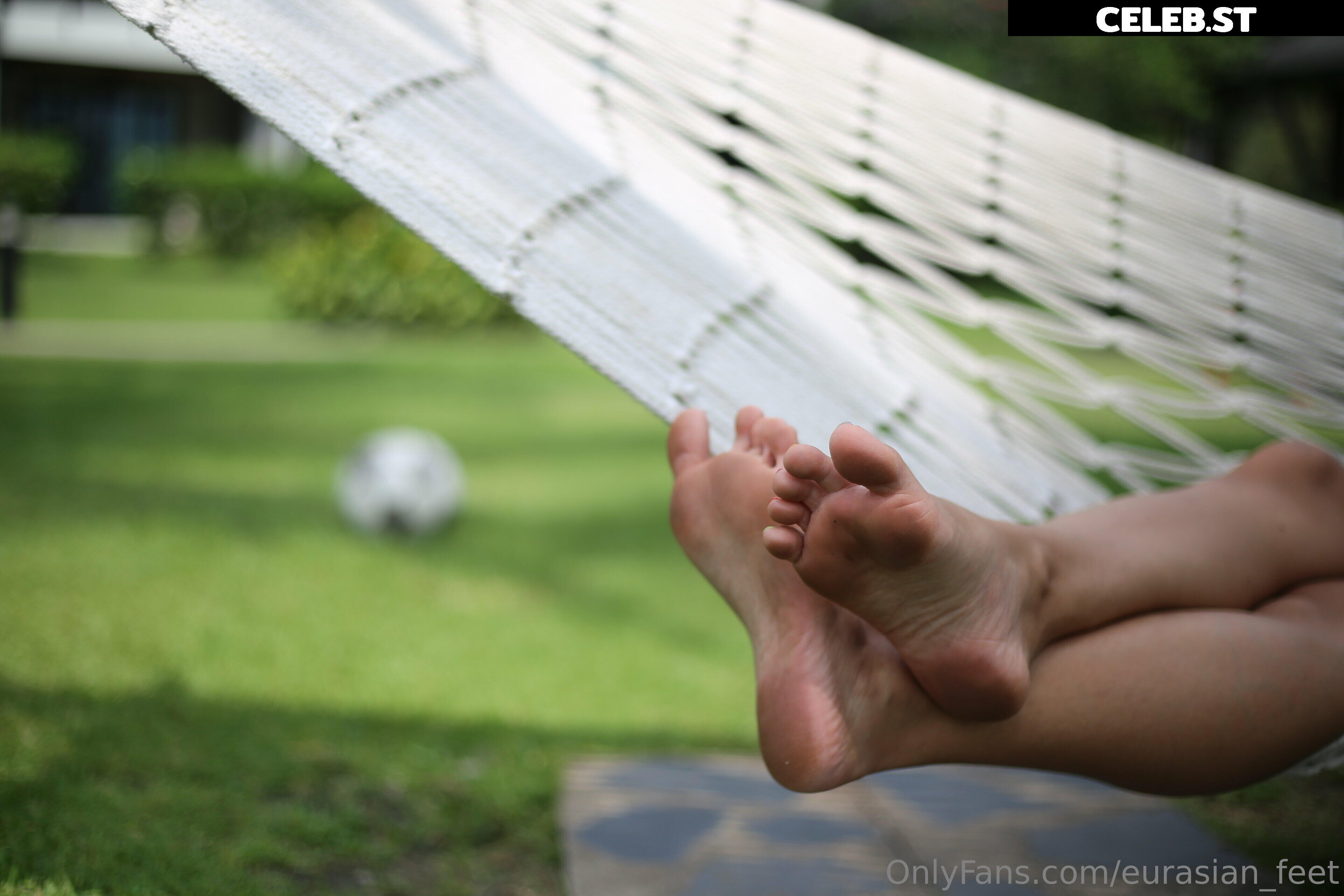 eurasian_feet Image 18058530