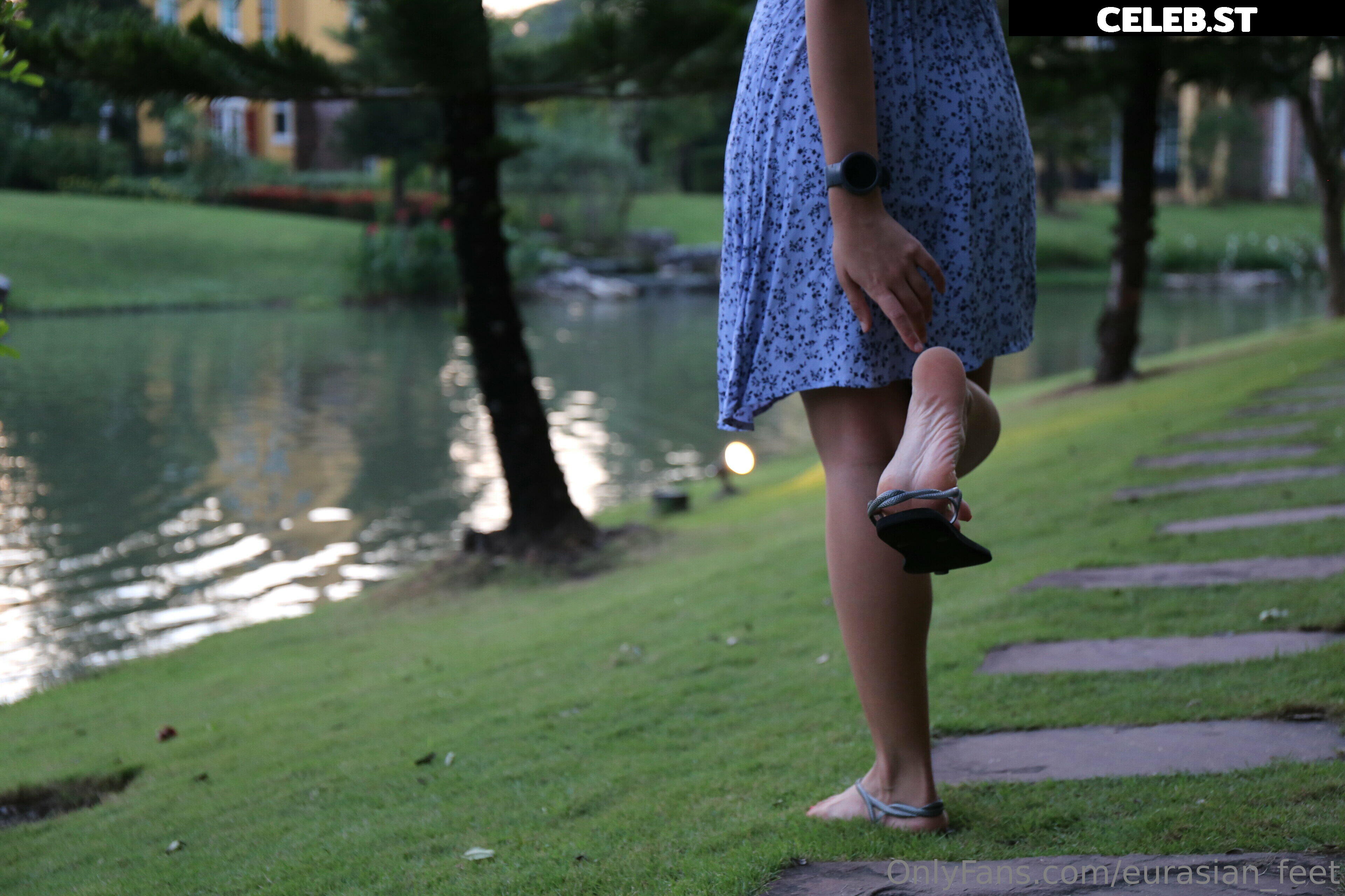 eurasian_feet Image 18058495