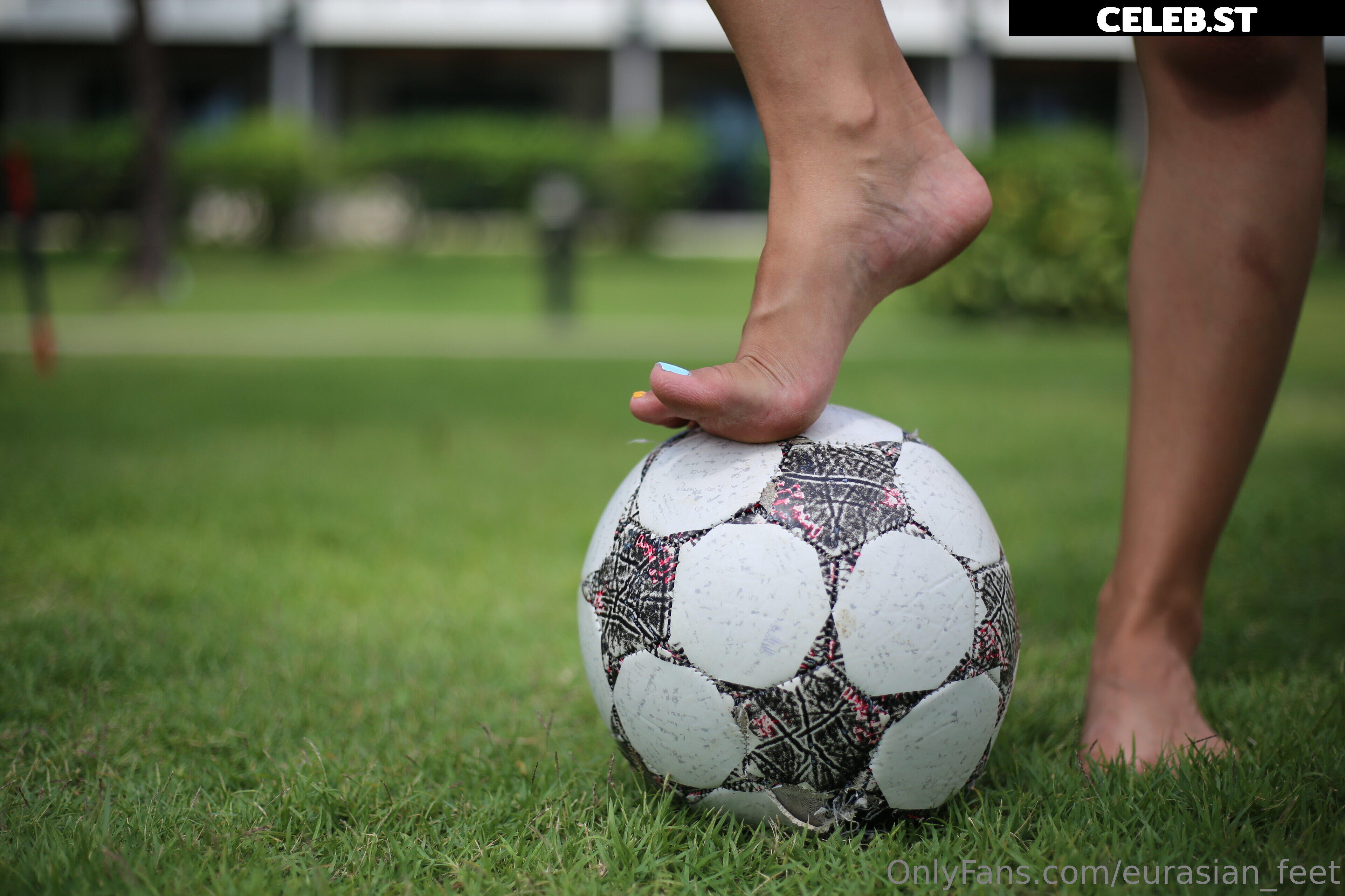eurasian_feet Image 18058615
