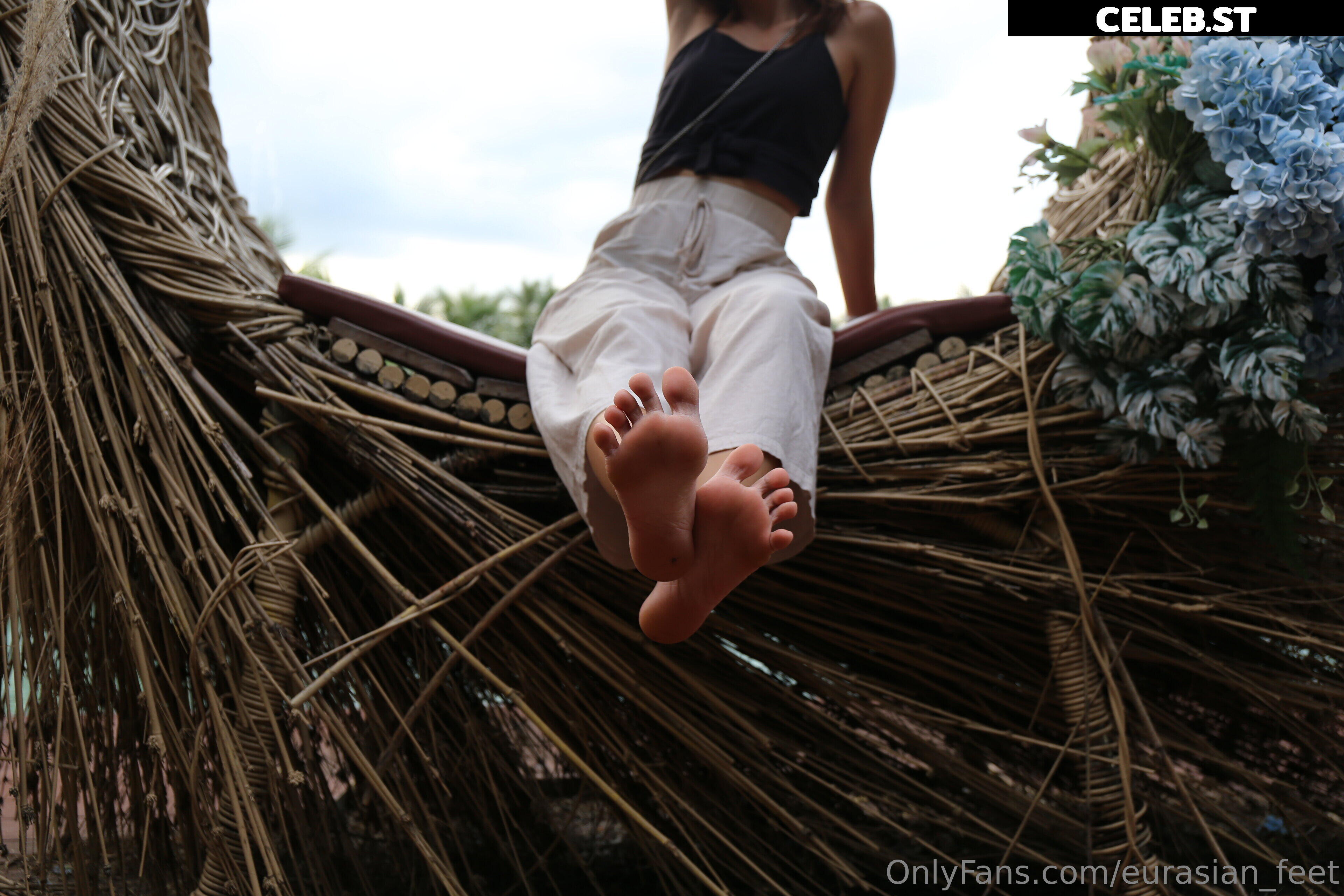 eurasian_feet Image 18058024