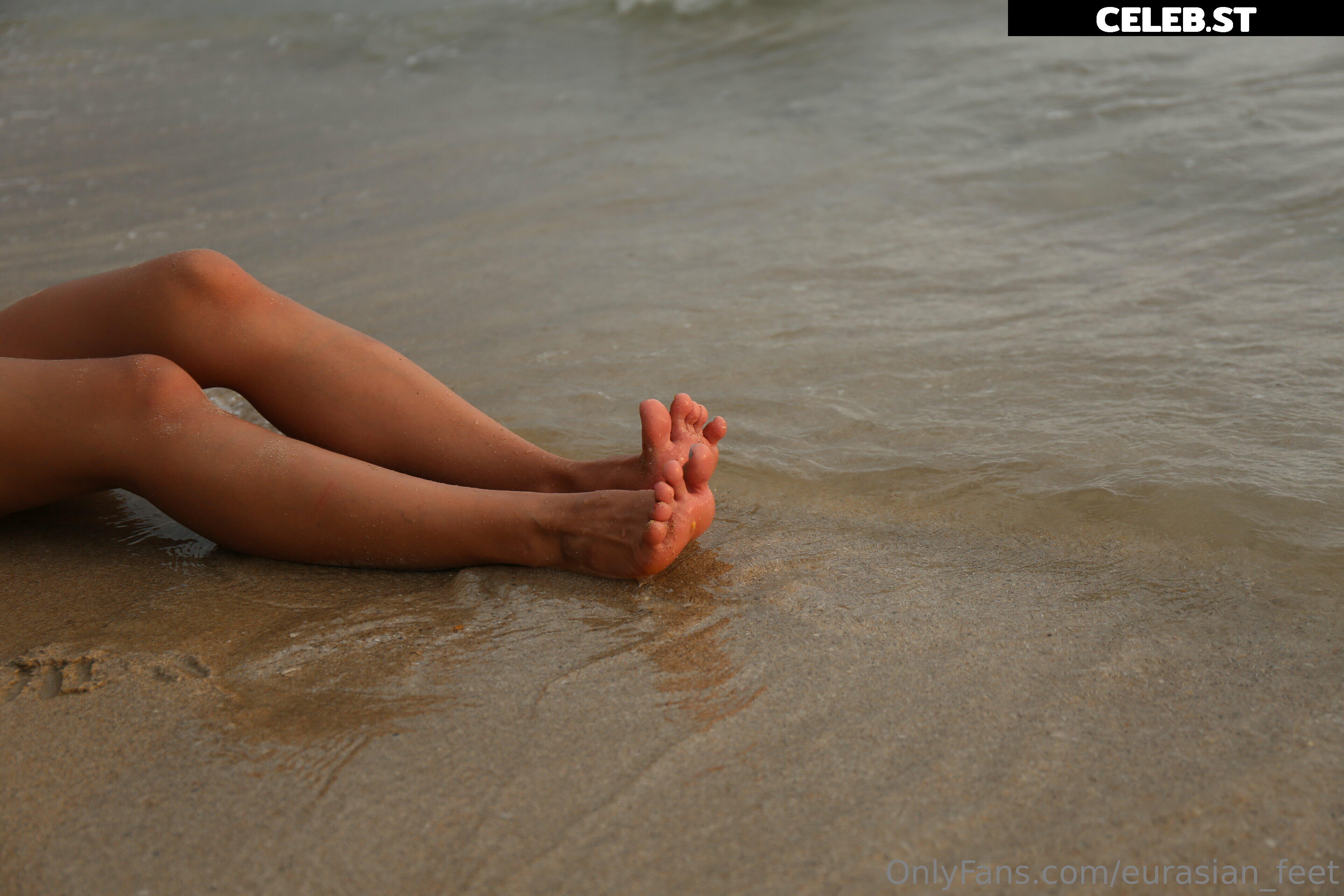 eurasian_feet Image 18058310