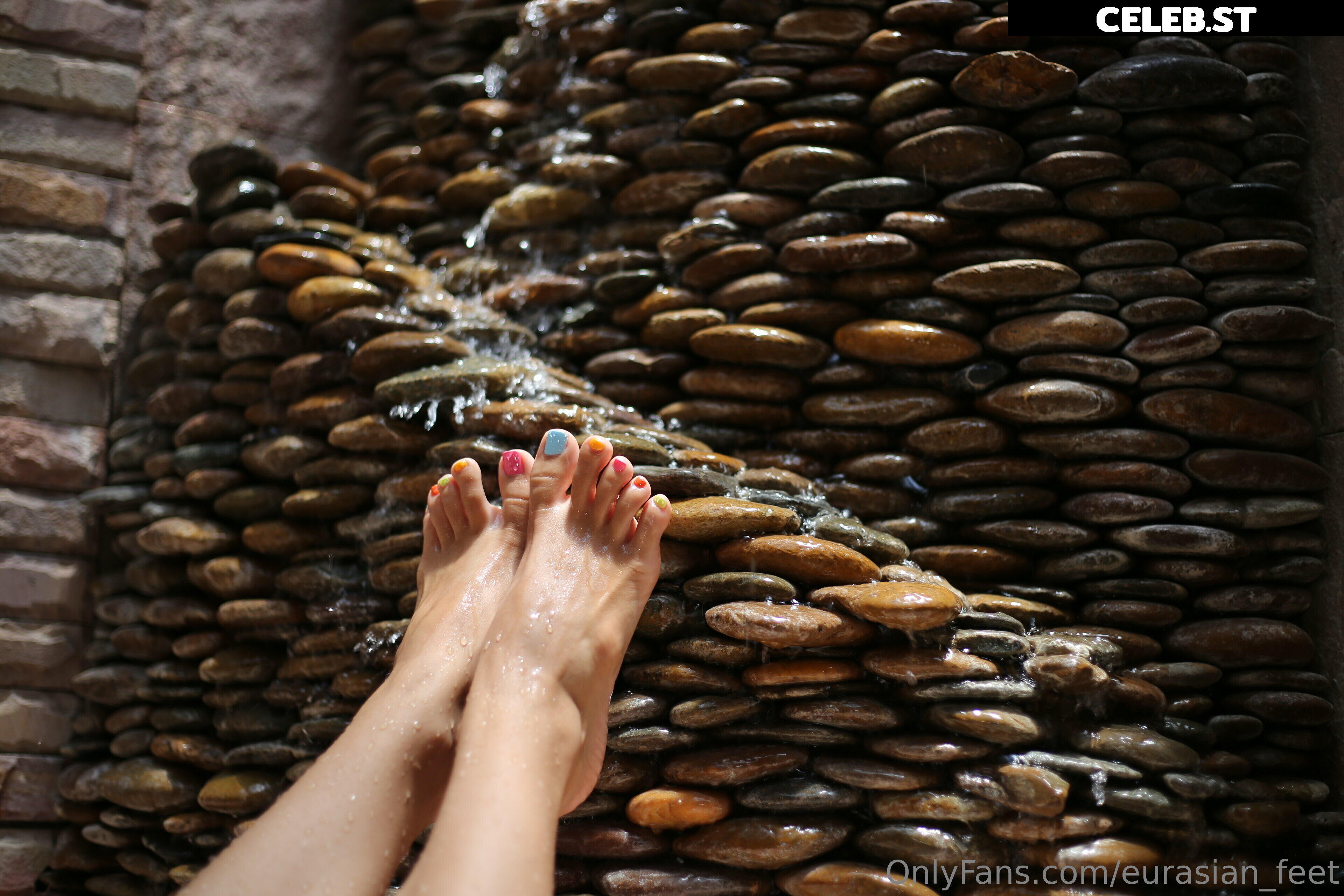 eurasian_feet Image 18058305