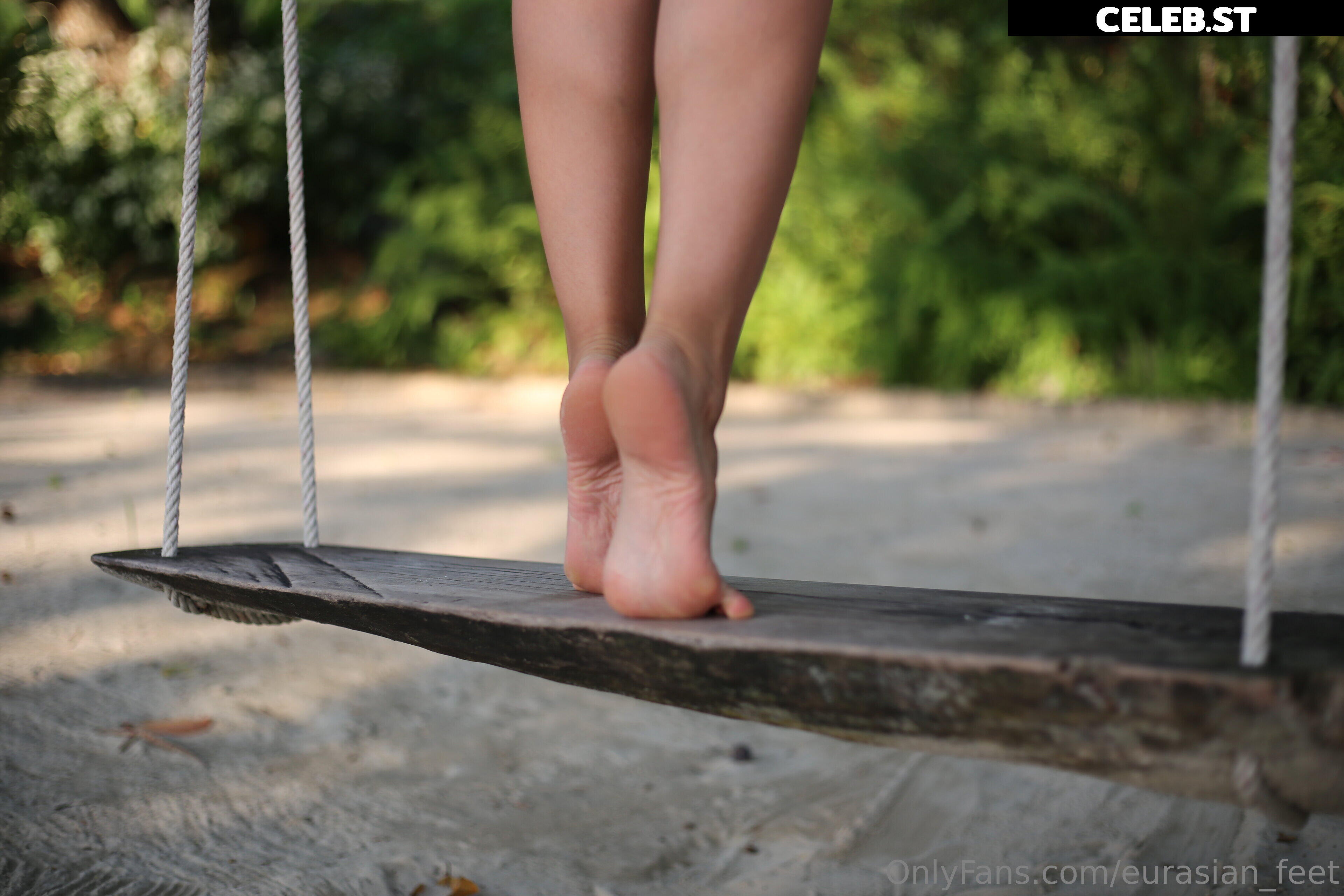 eurasian_feet Image 18055190