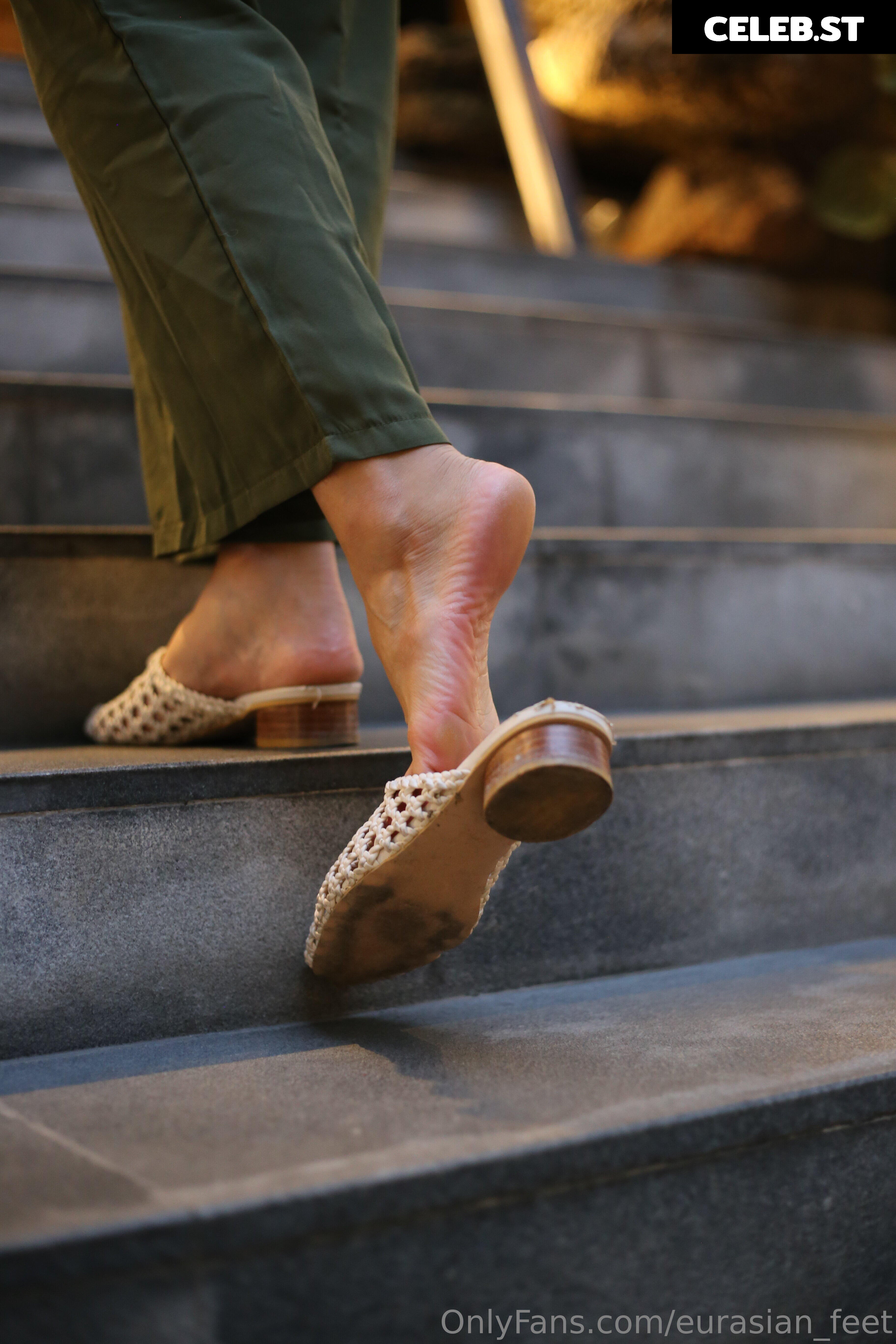 eurasian_feet Image 18055137