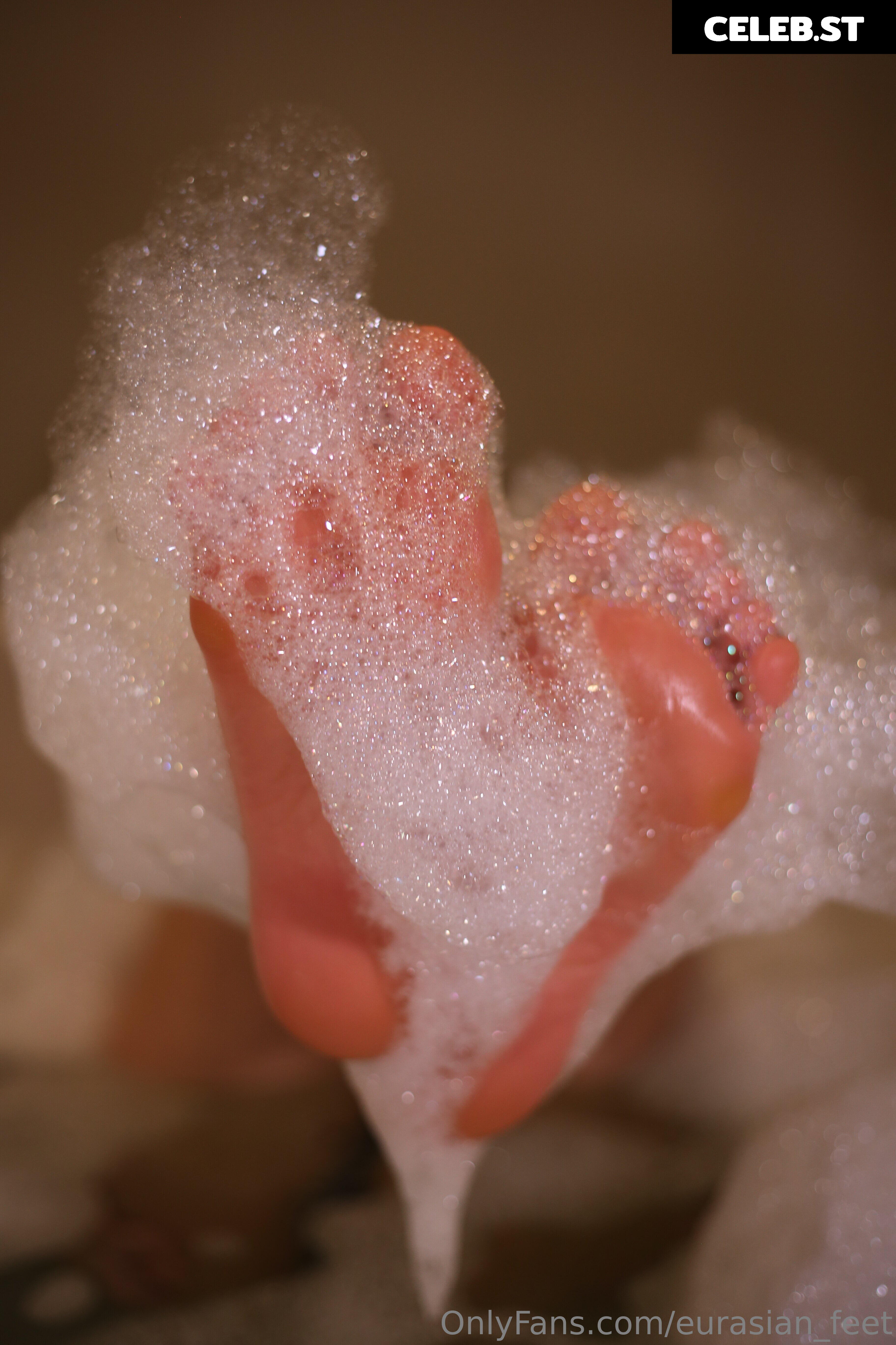 eurasian_feet Image 18055162