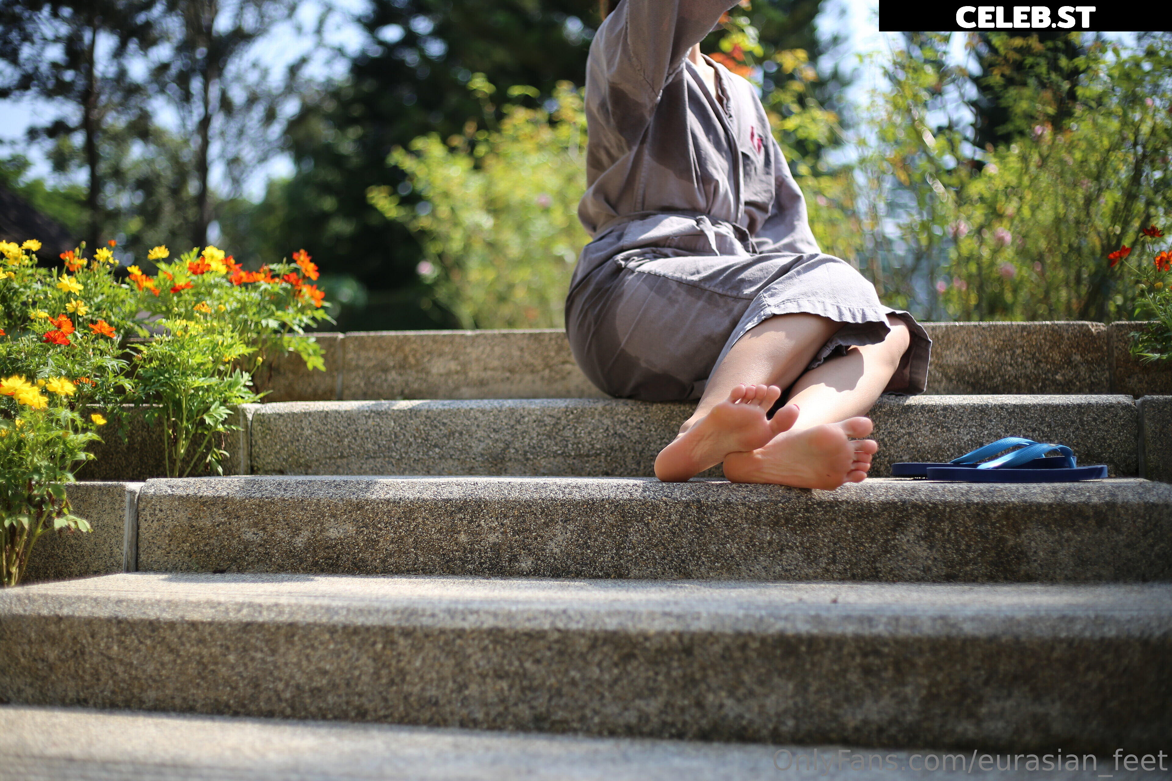 eurasian_feet Image 18055158