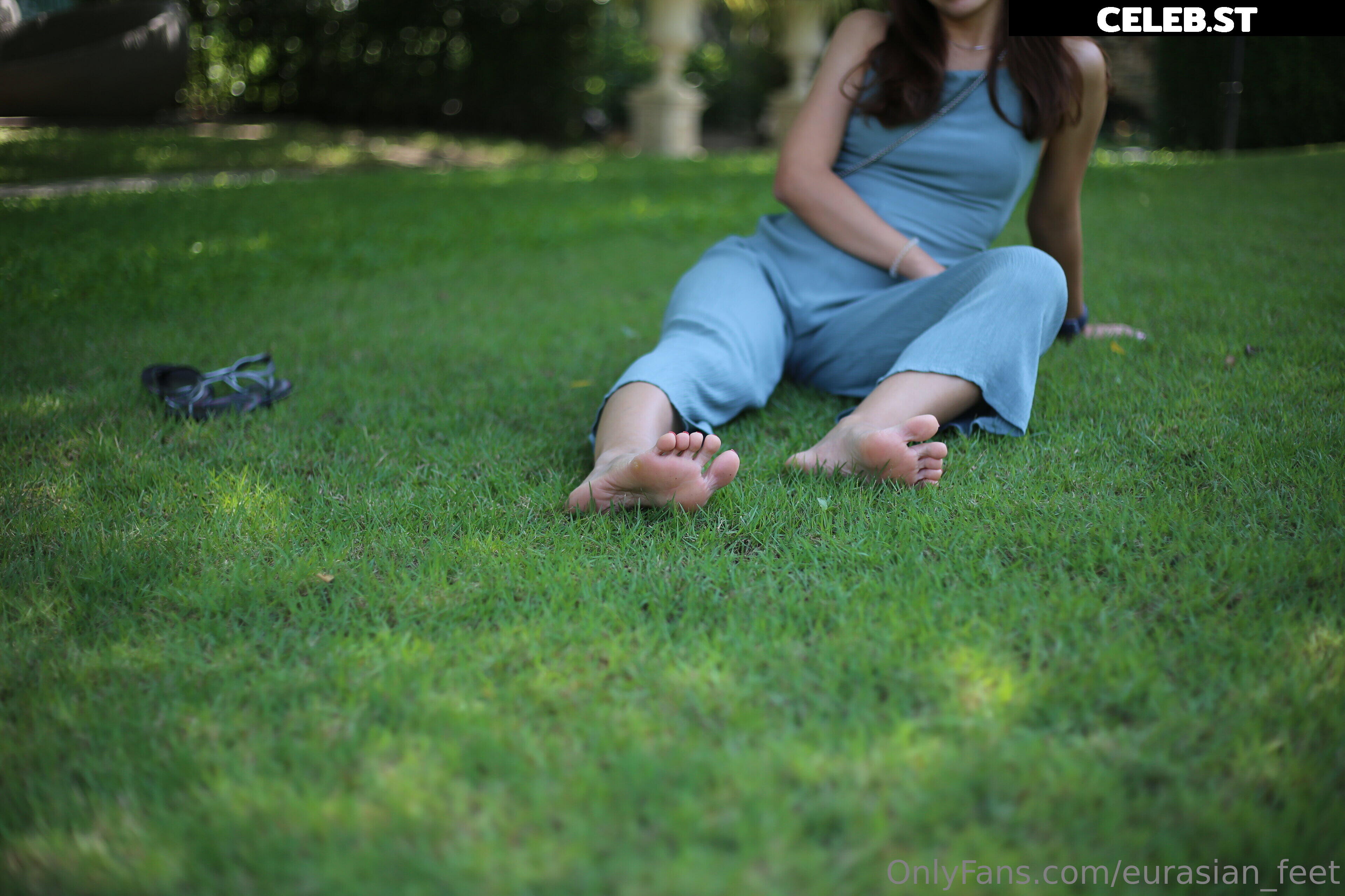 eurasian_feet Image 18055140