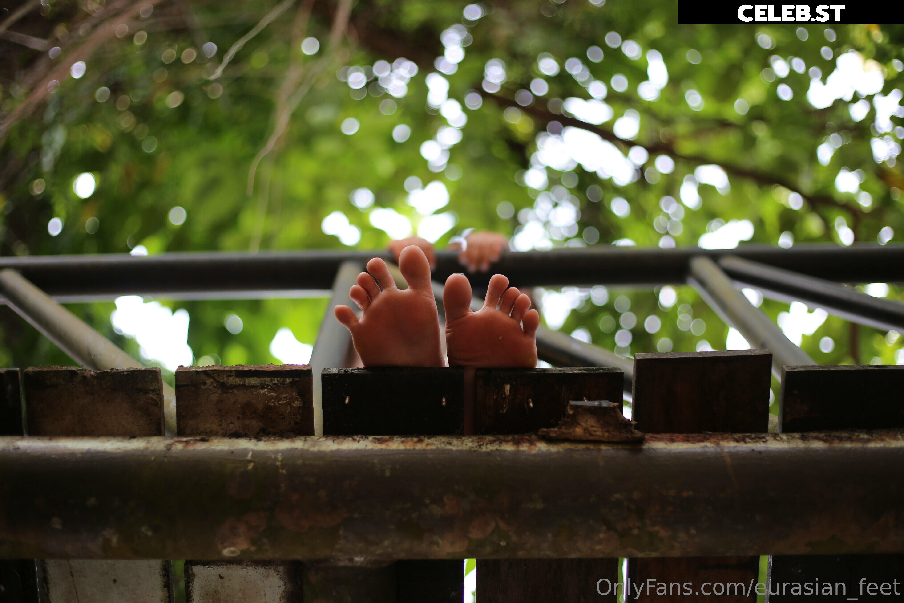 eurasian_feet Image 18055170