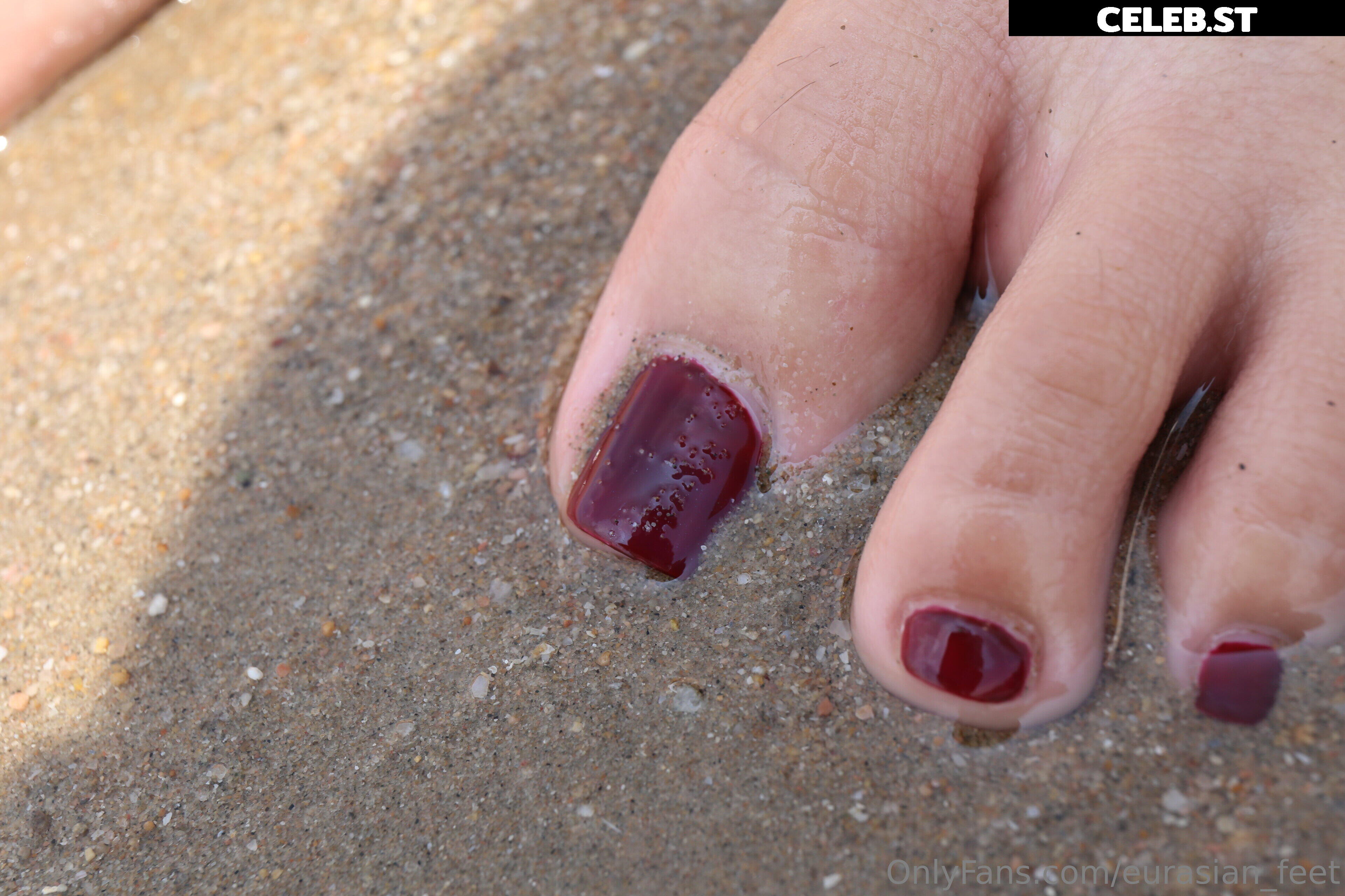 eurasian_feet Image 18055291