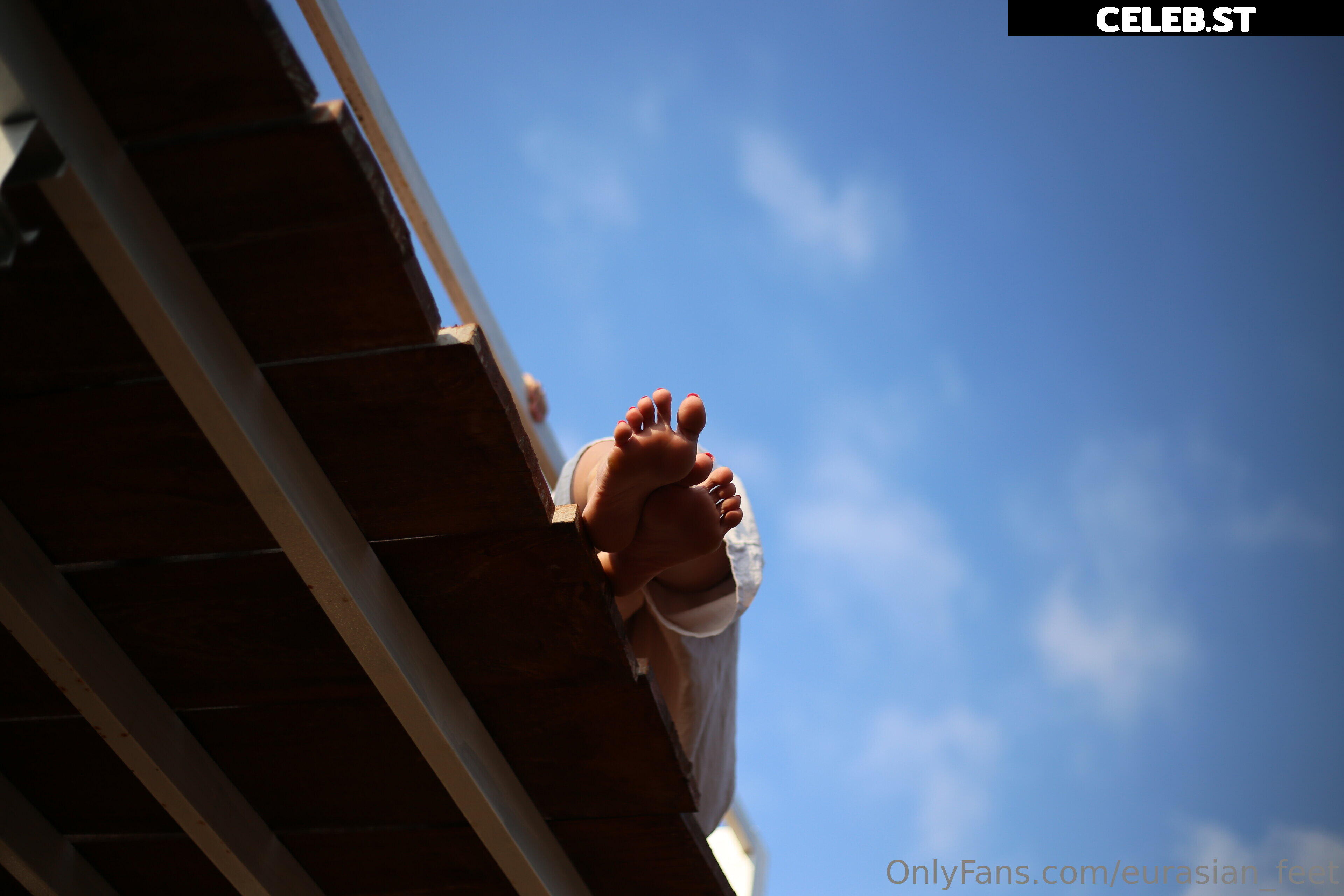 eurasian_feet Image 18054517