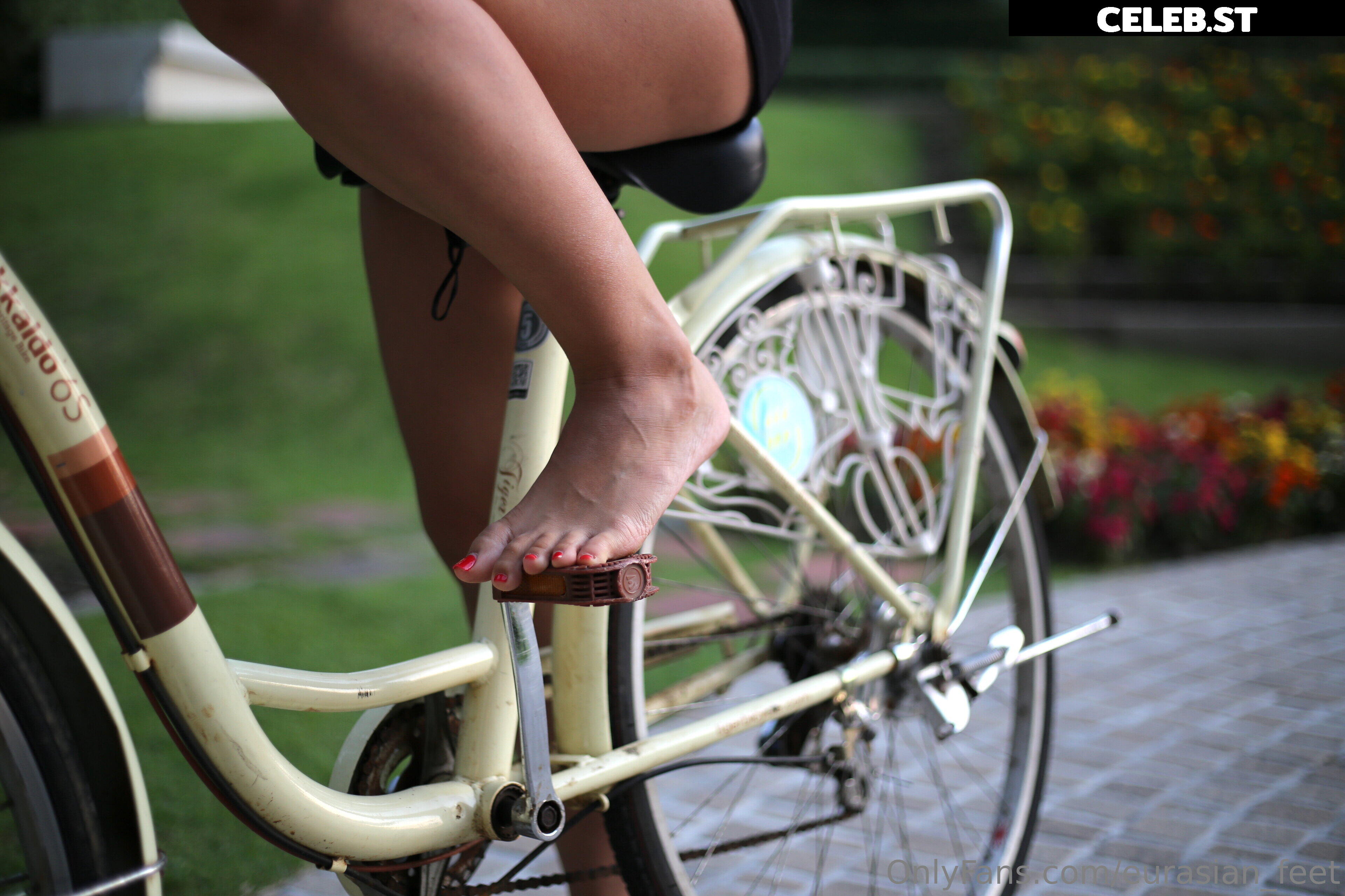 eurasian_feet Image 18054574