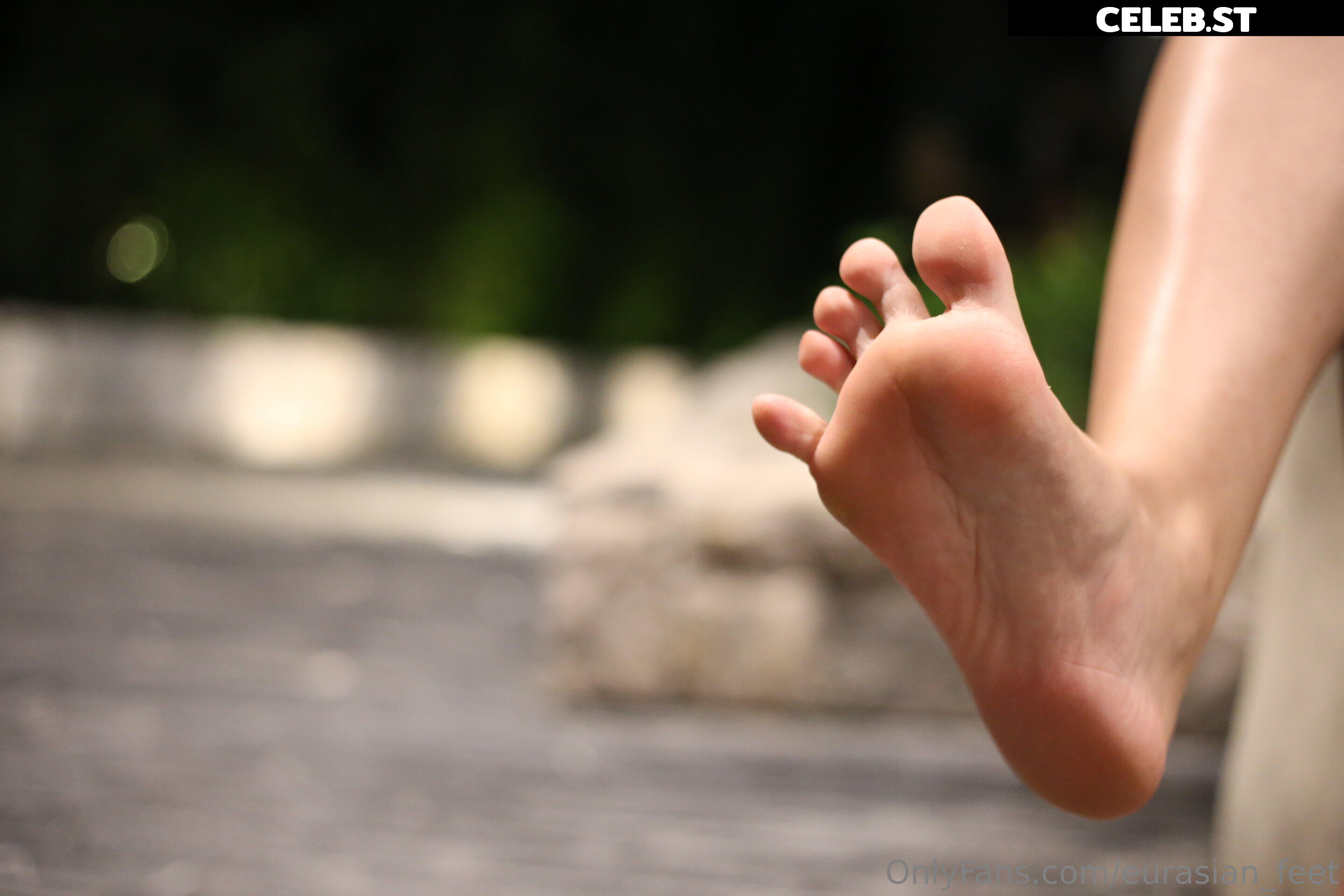 eurasian_feet Image 18054497