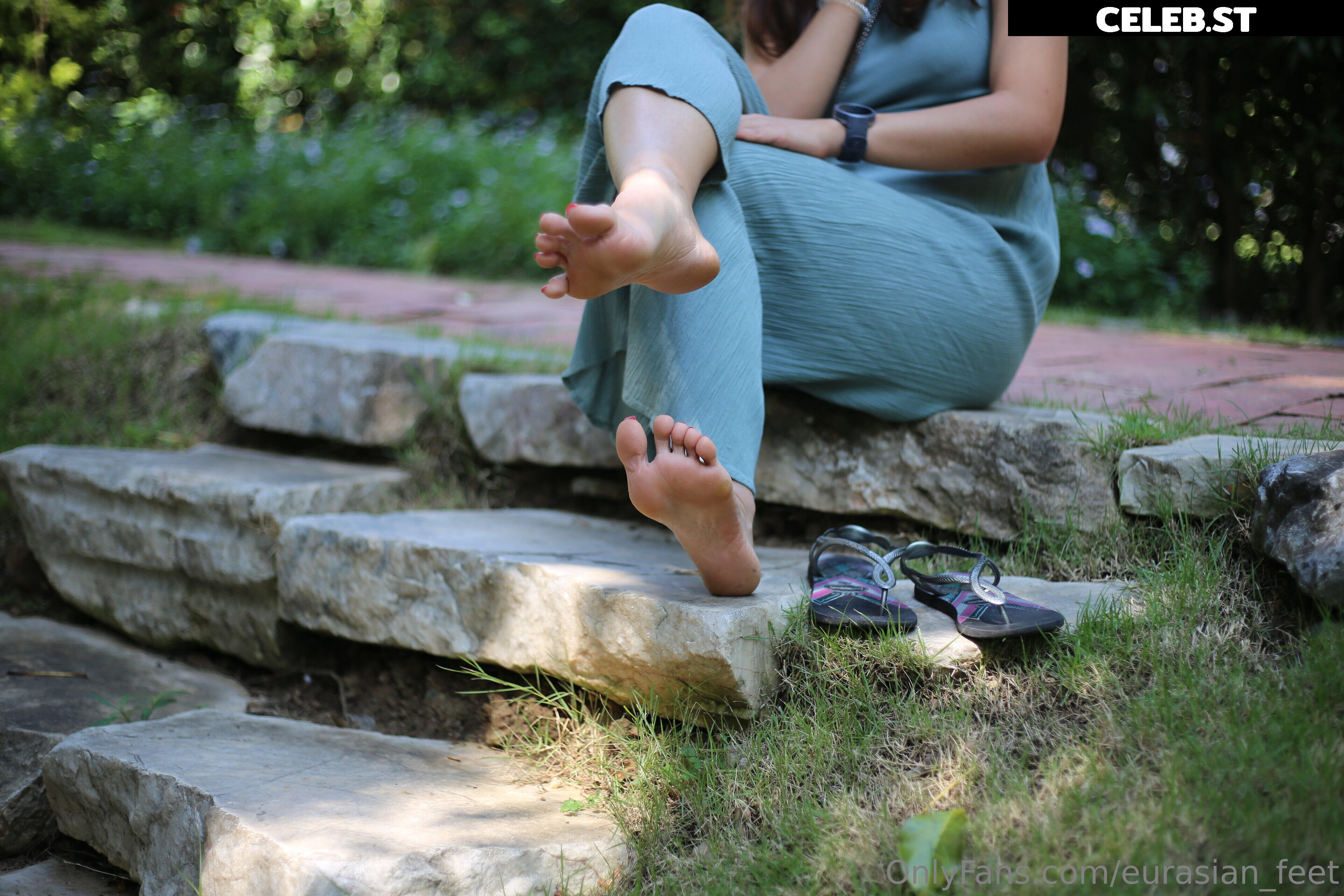 eurasian_feet Image 18054656