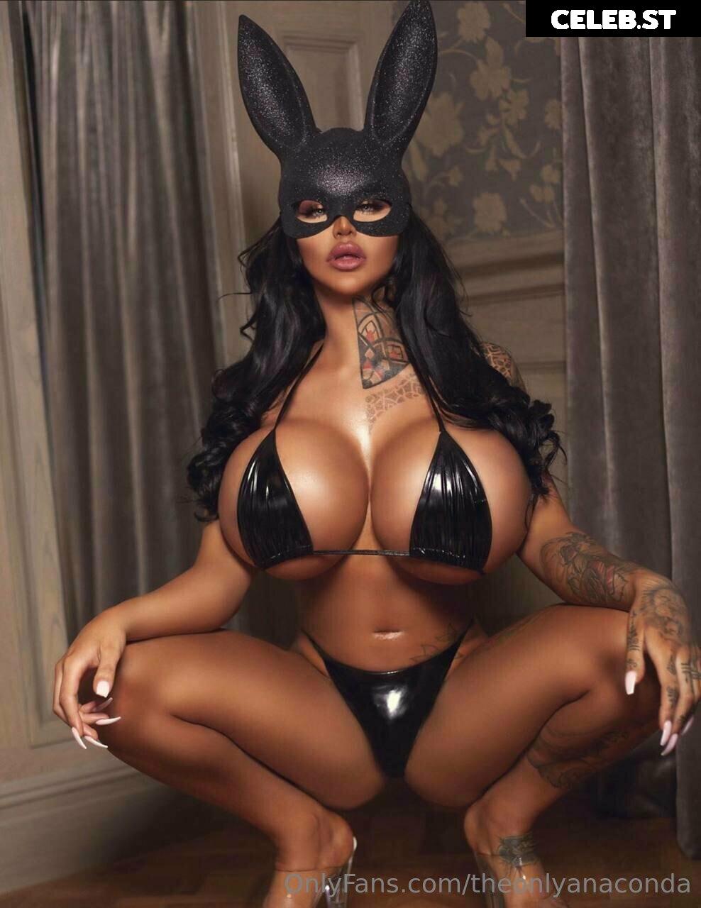 theonlyanaconda Image 18054108