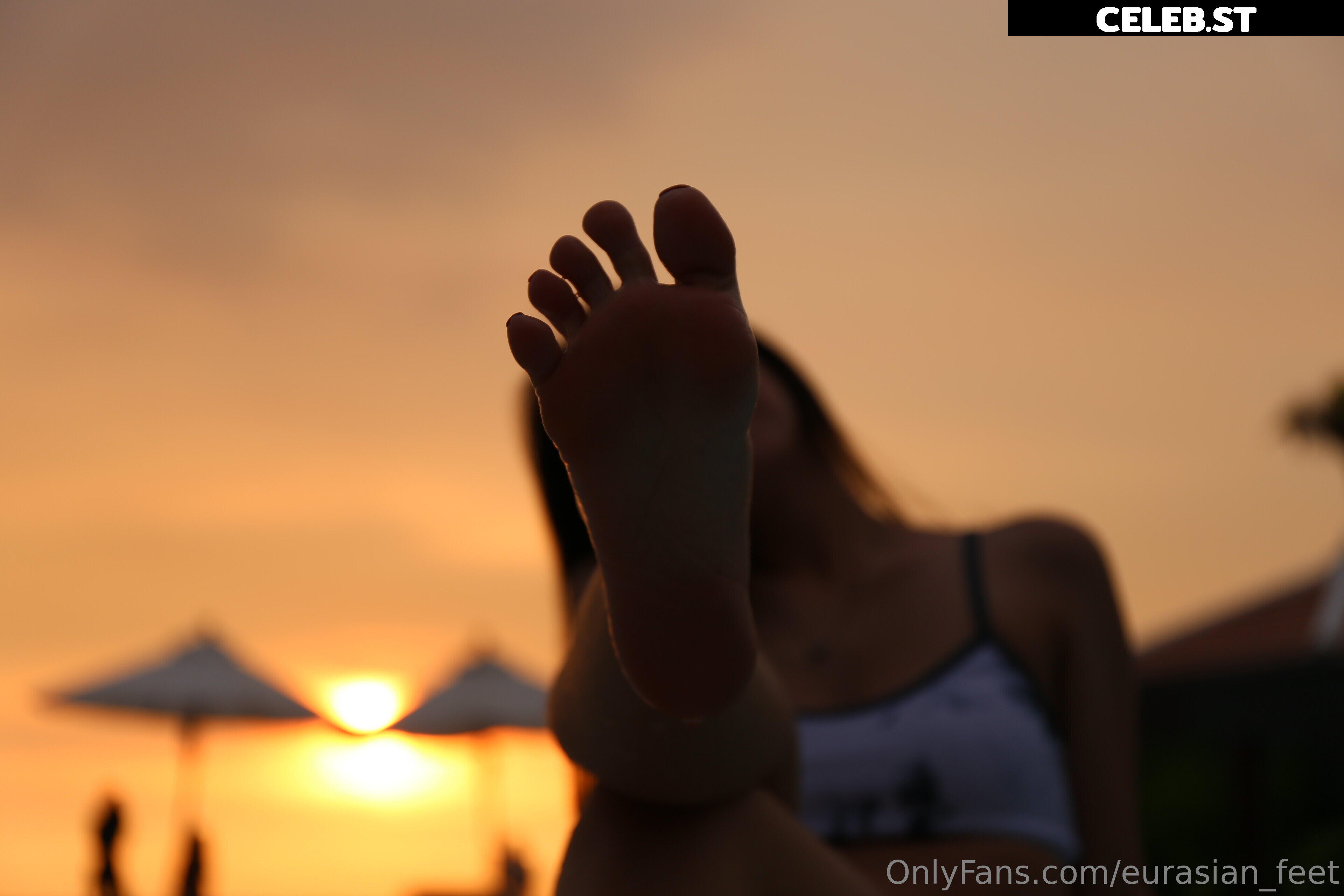eurasian_feet Image 18054312
