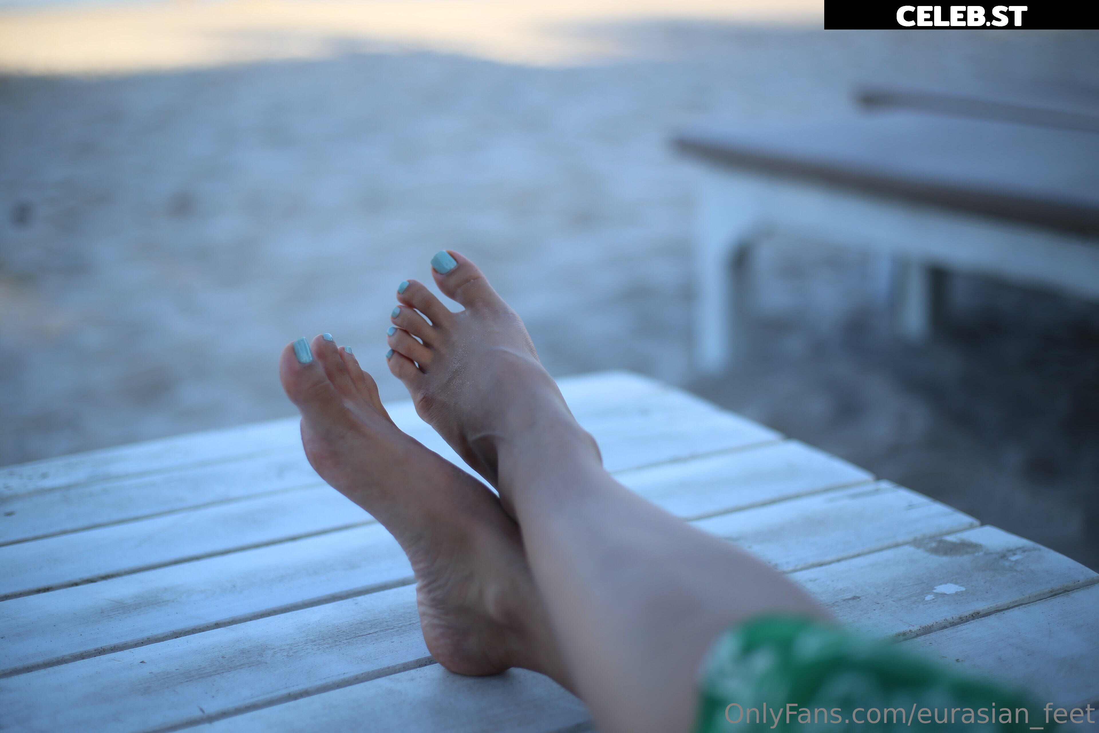 eurasian_feet Image 18054291